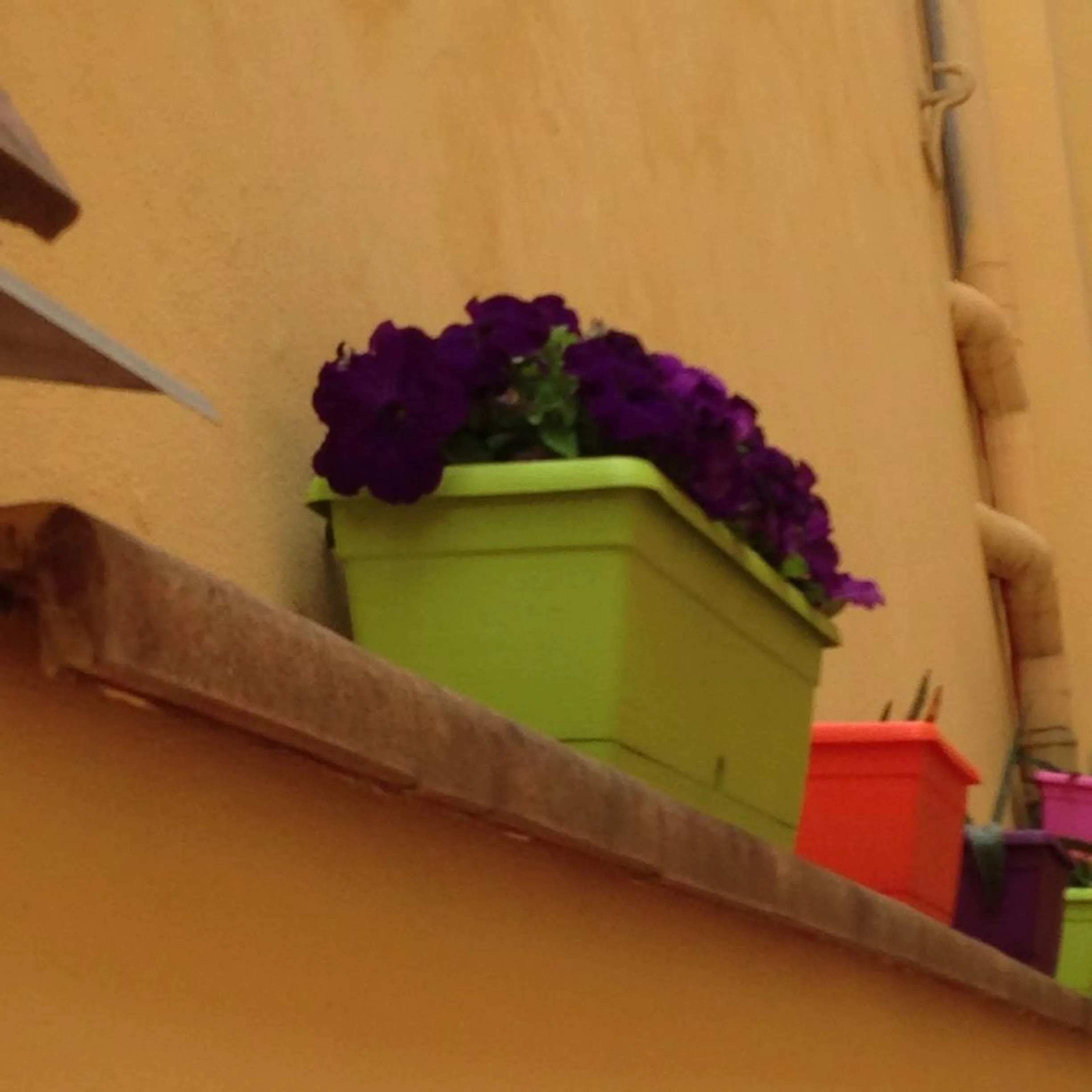 Decorative detail in Cosy House