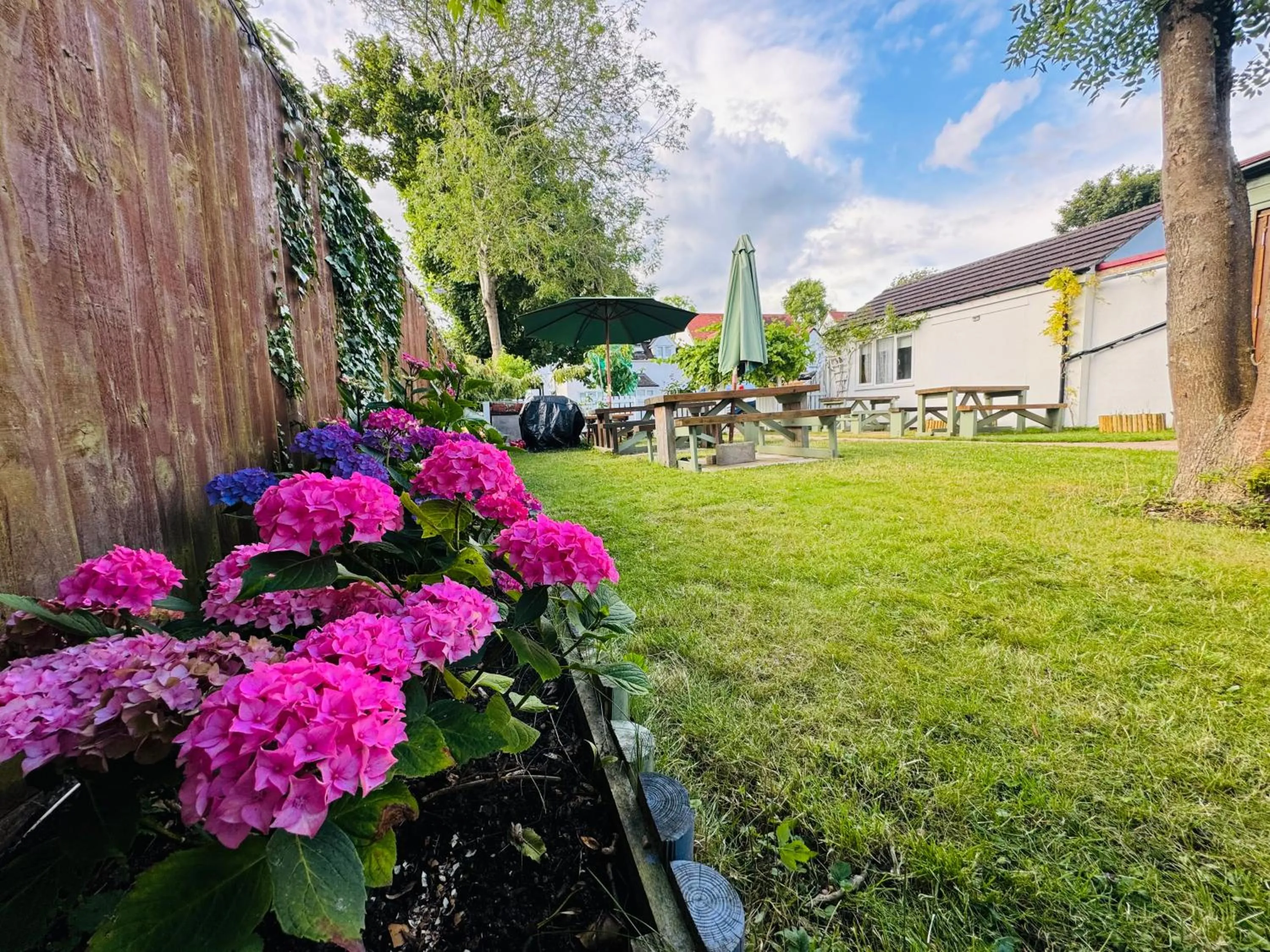 Garden in Oxford Guest House