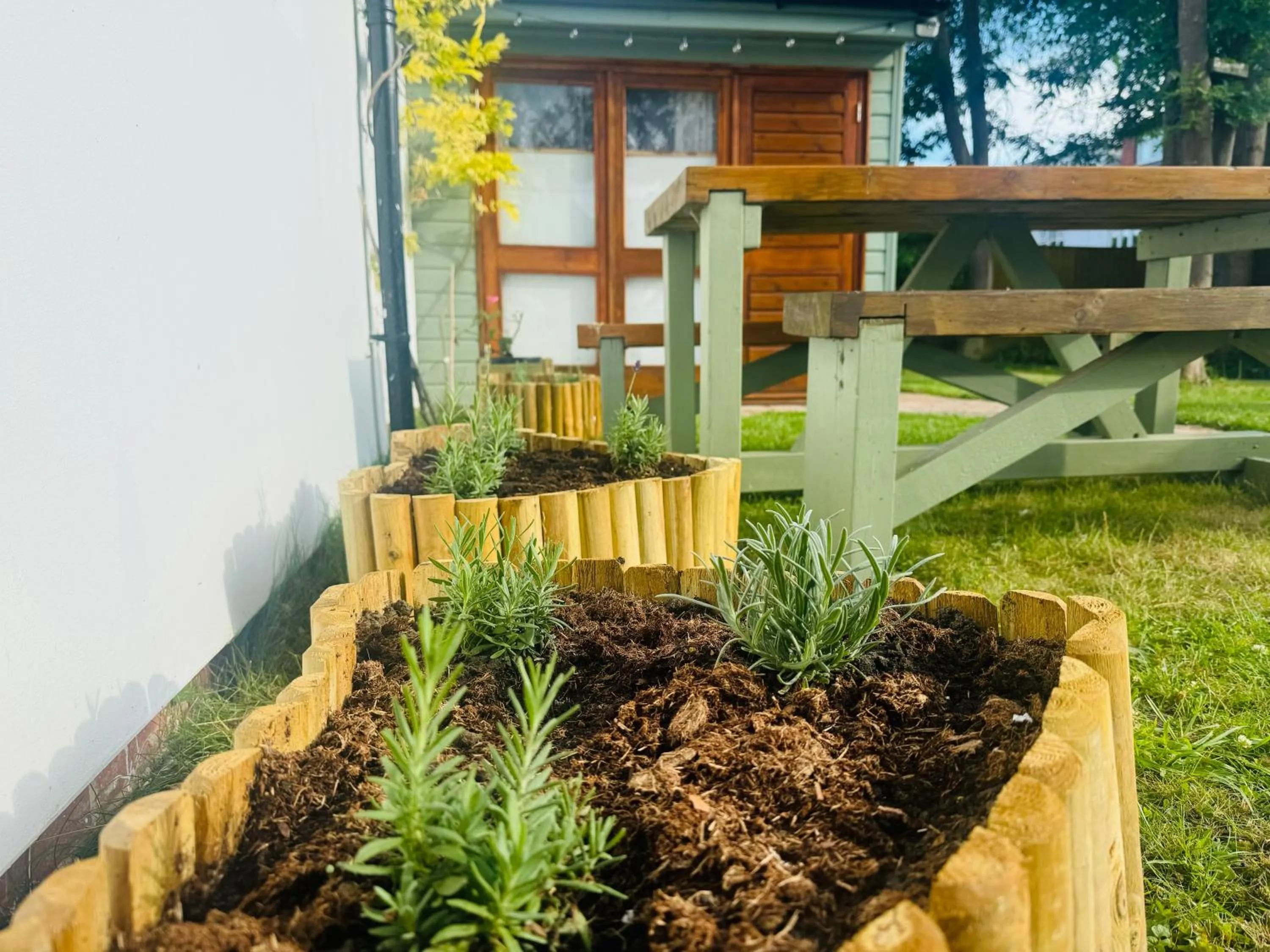 Garden in Oxford Guest House