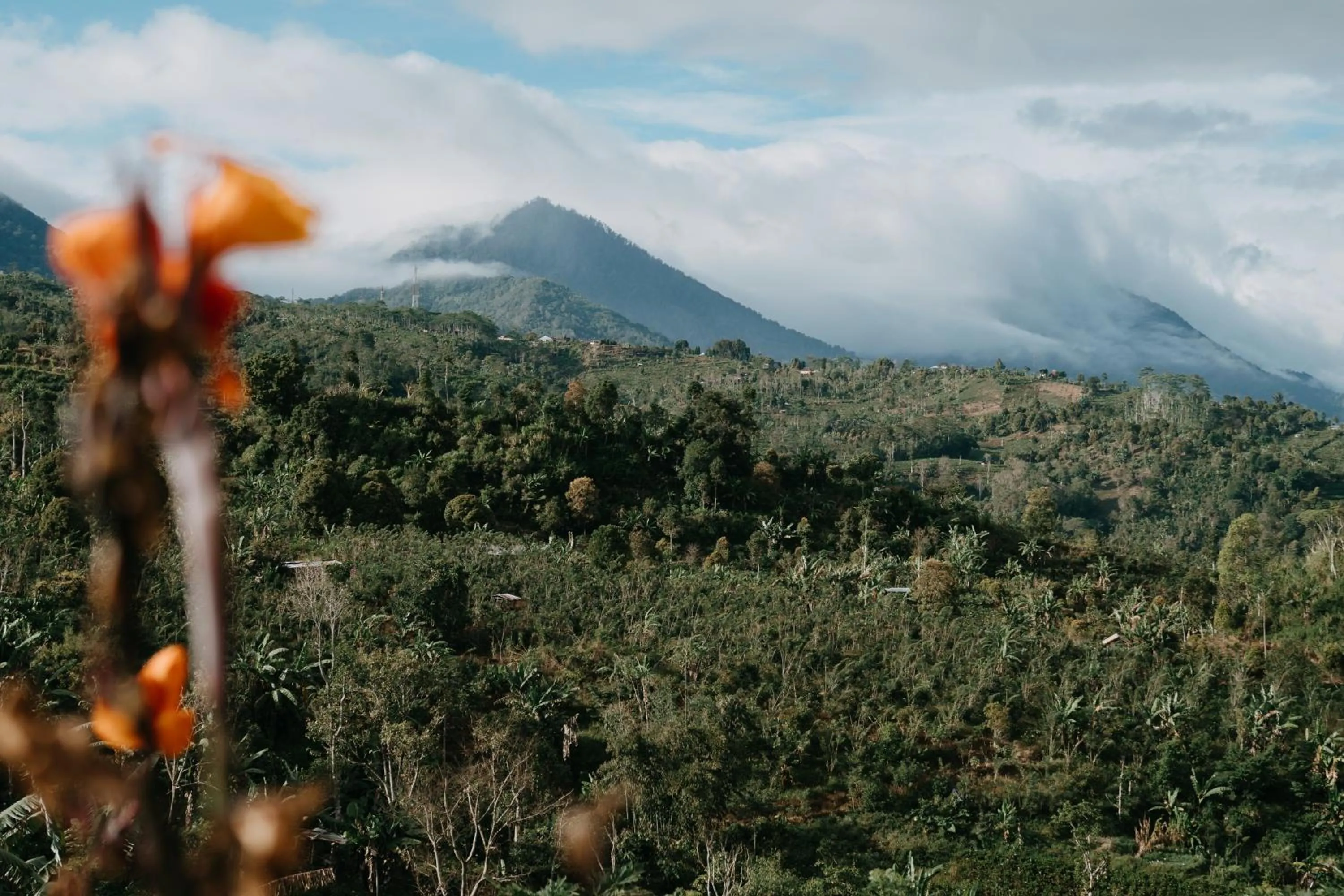 Mountain view in Alam Kita Glamping & Plantation