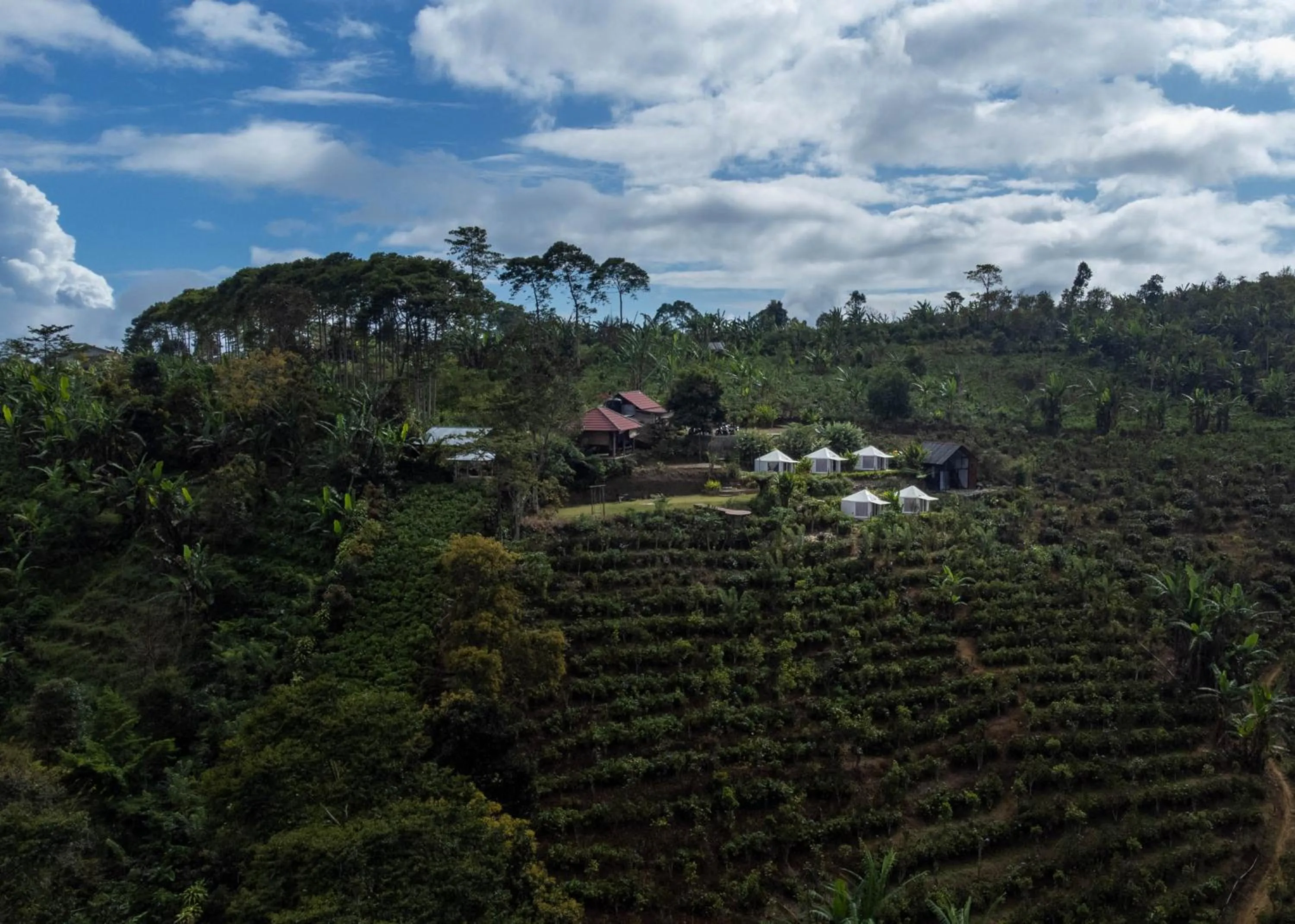 View (from property/room) in Alam Kita Glamping & Plantation