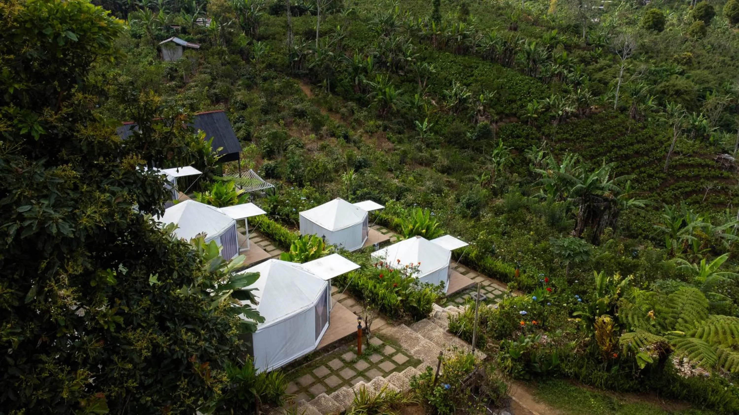 Natural landscape in Alam Kita Glamping & Plantation