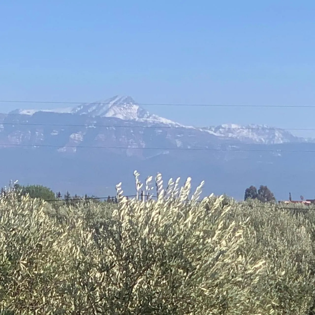 Natural landscape in Beldicolors