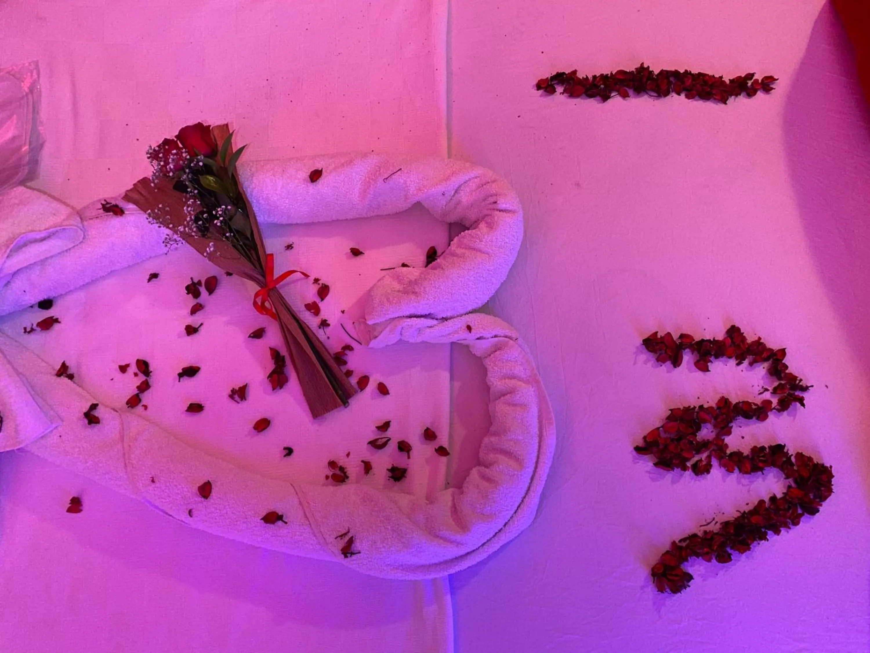 VIP in iNALENS AİRPORT HOTEL