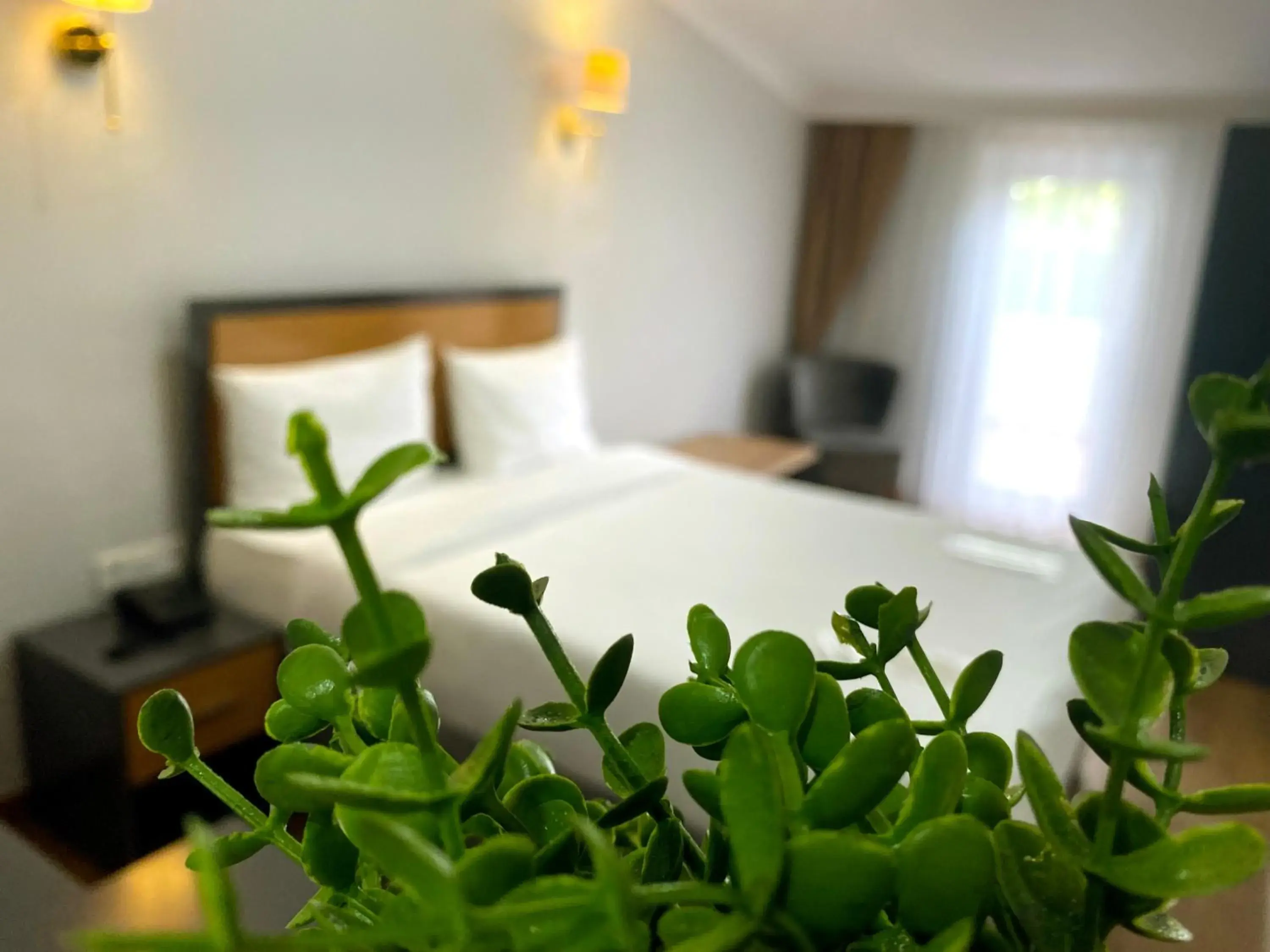 Double Room with Terrace in iNALENS AİRPORT HOTEL Double Room with Terrace in iNALENS AİRPORT HOTEL