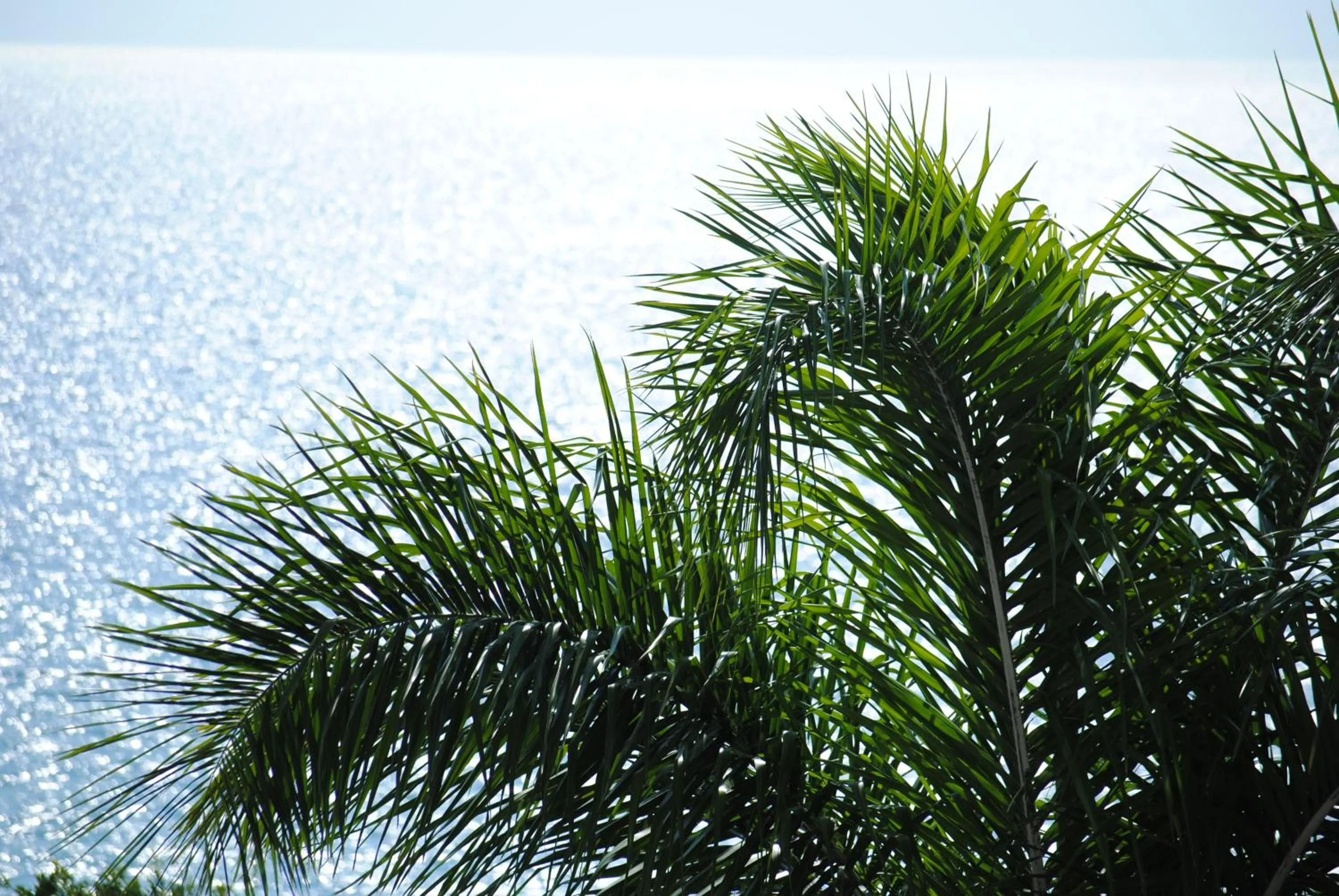 Sea view in Stavento Apartments