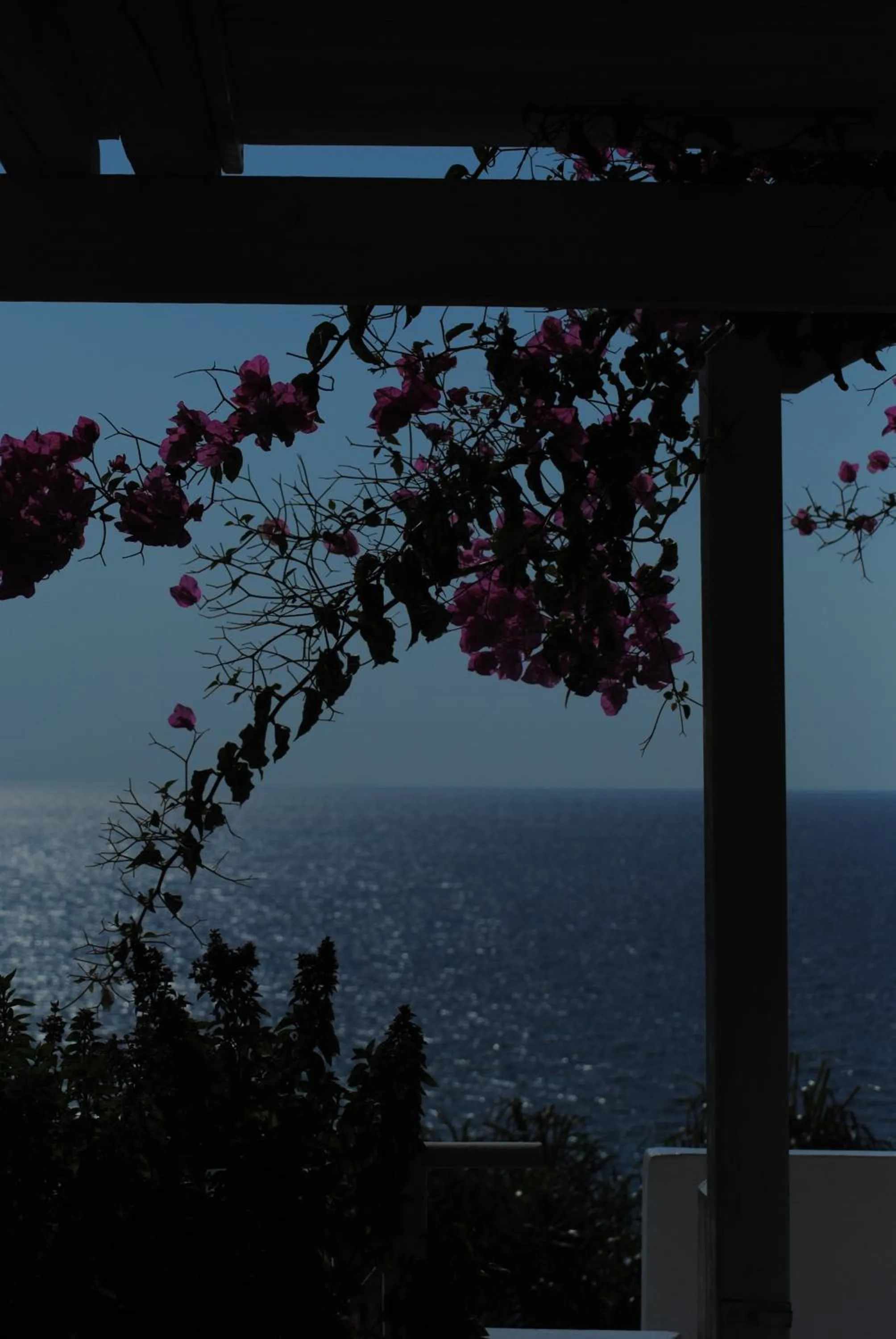 Natural landscape in Stavento Apartments