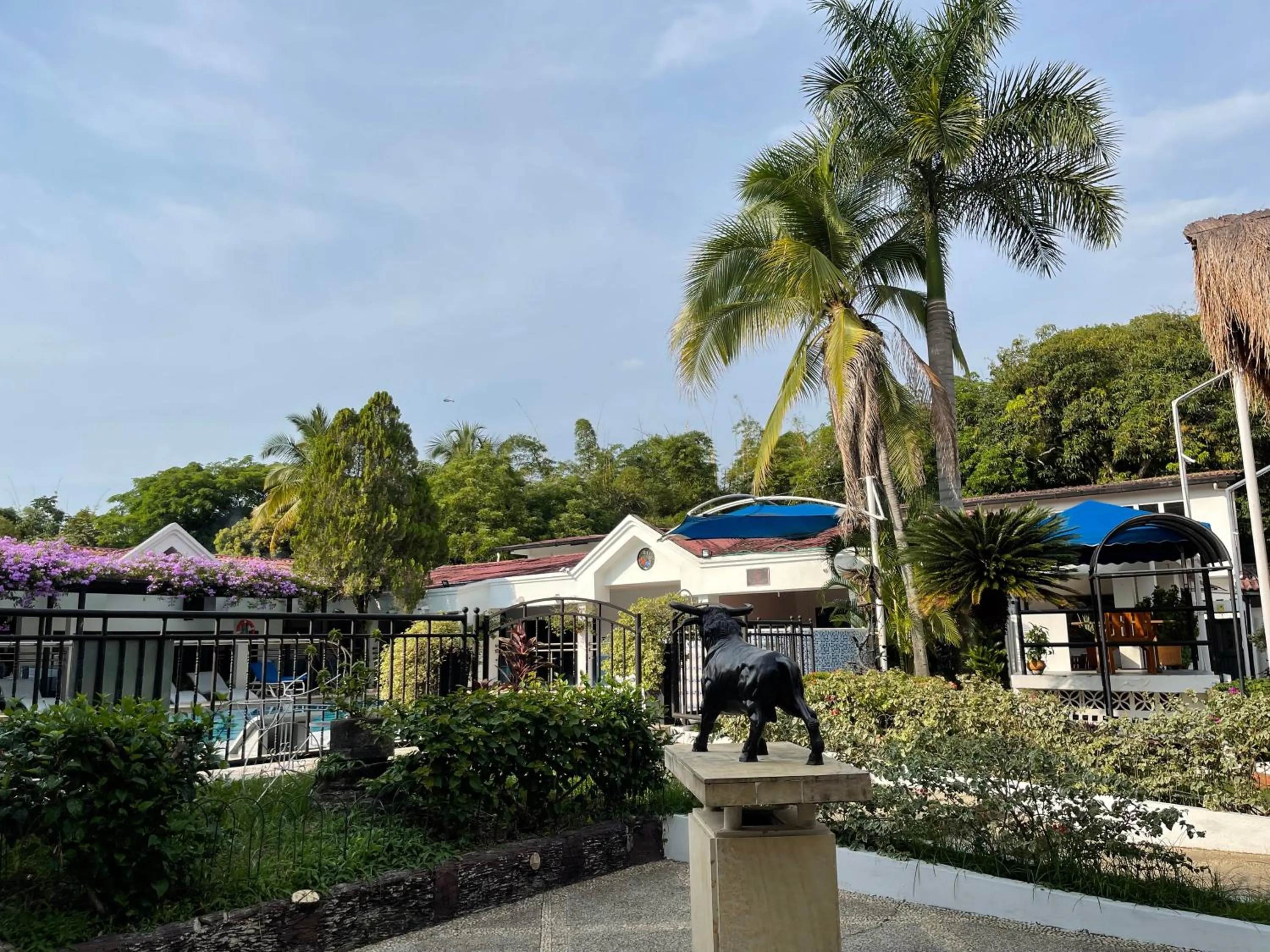 Garden in Hotel Melgar Villa Valeria