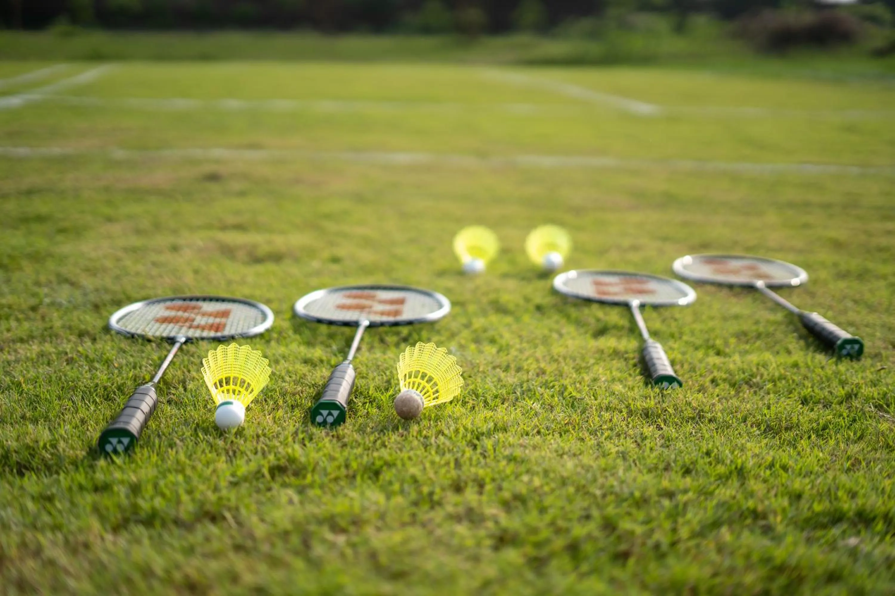 Sports in Tree of Life Ecotainers Agra