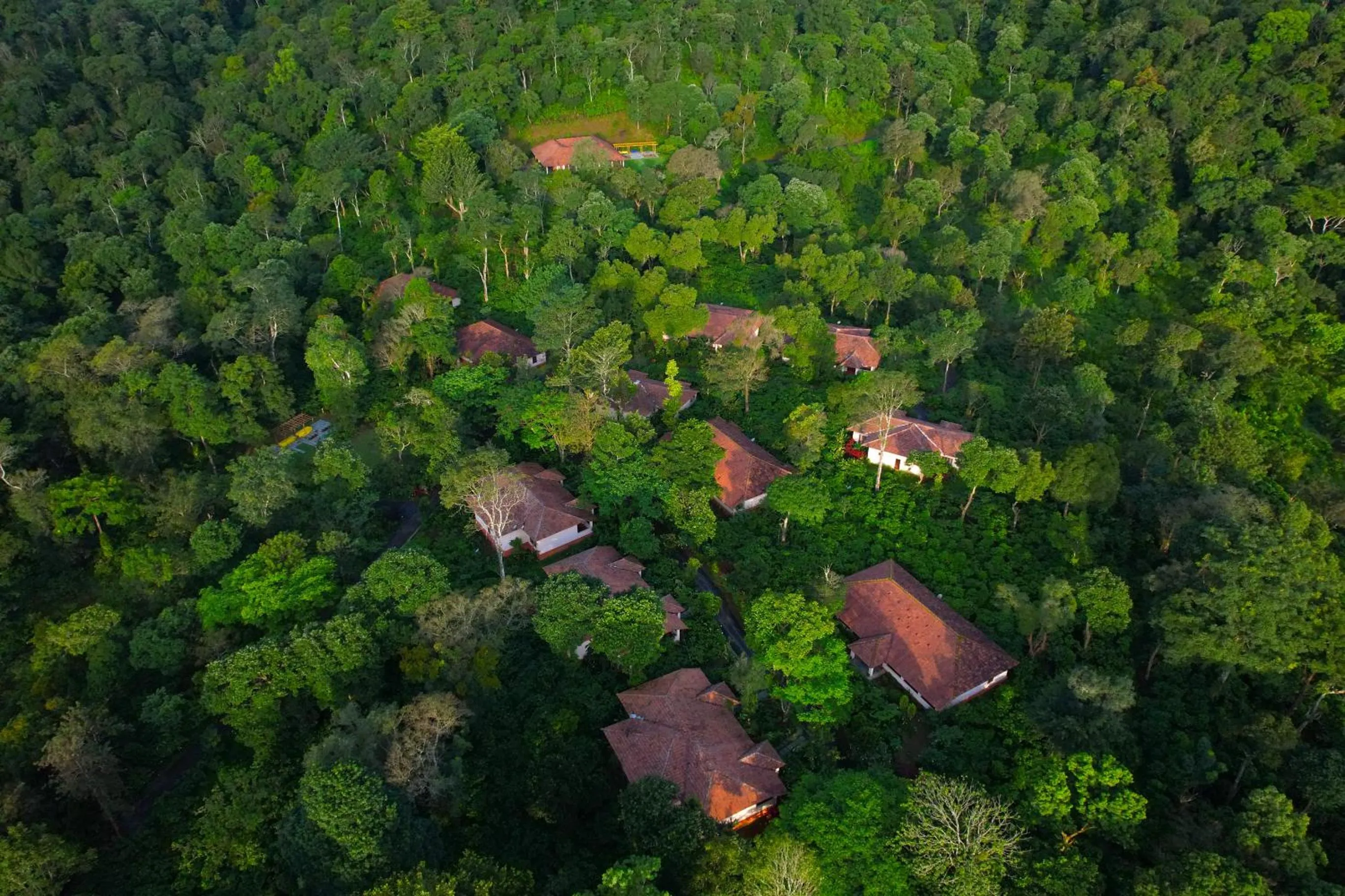 Bird's eye view in Magnolia Estates & Resorts