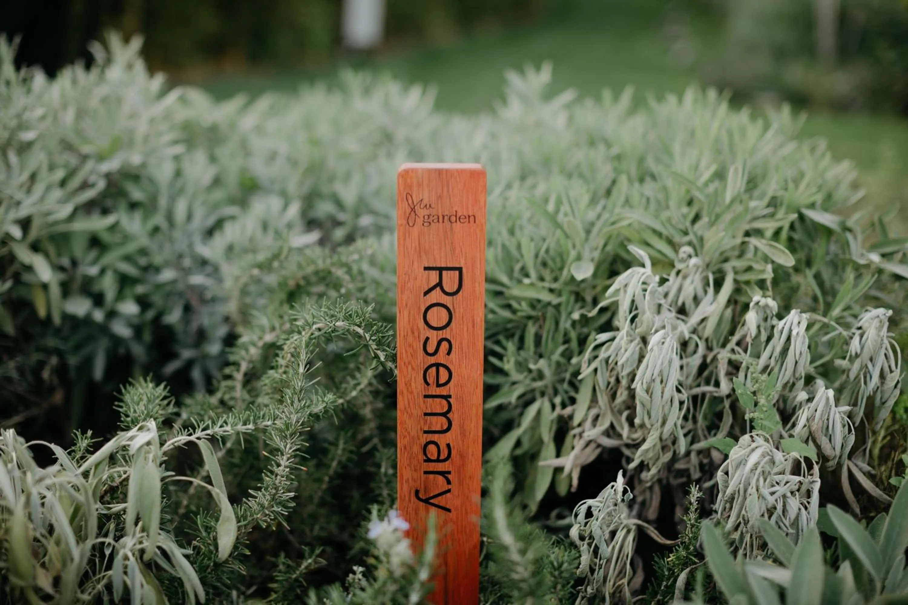 Other in JW Marriott Hotel Istanbul Marmara Sea