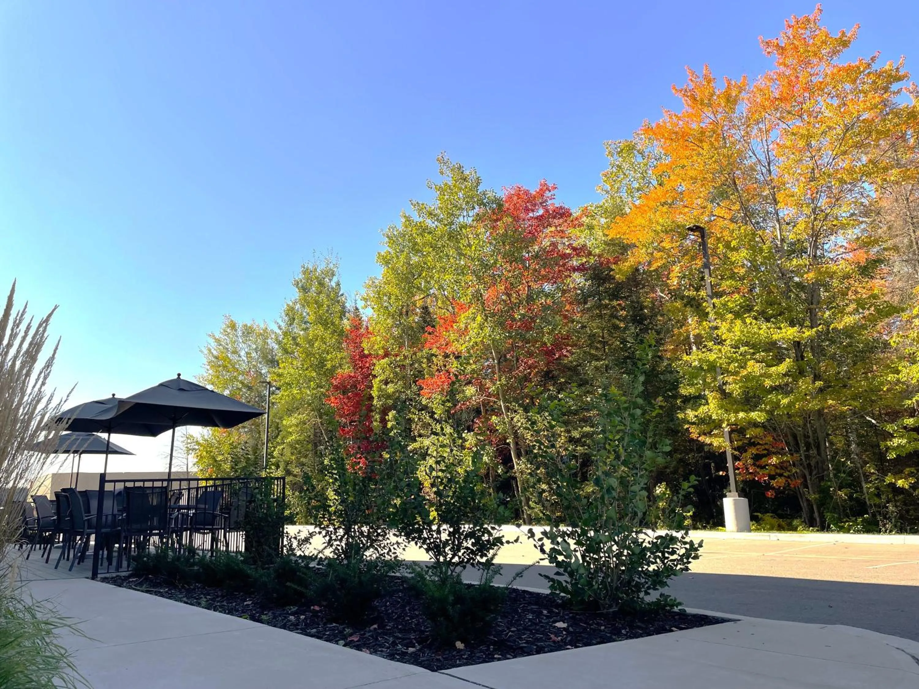 Balcony/Terrace in Fairfield by Marriott Inn & Suites North Bay