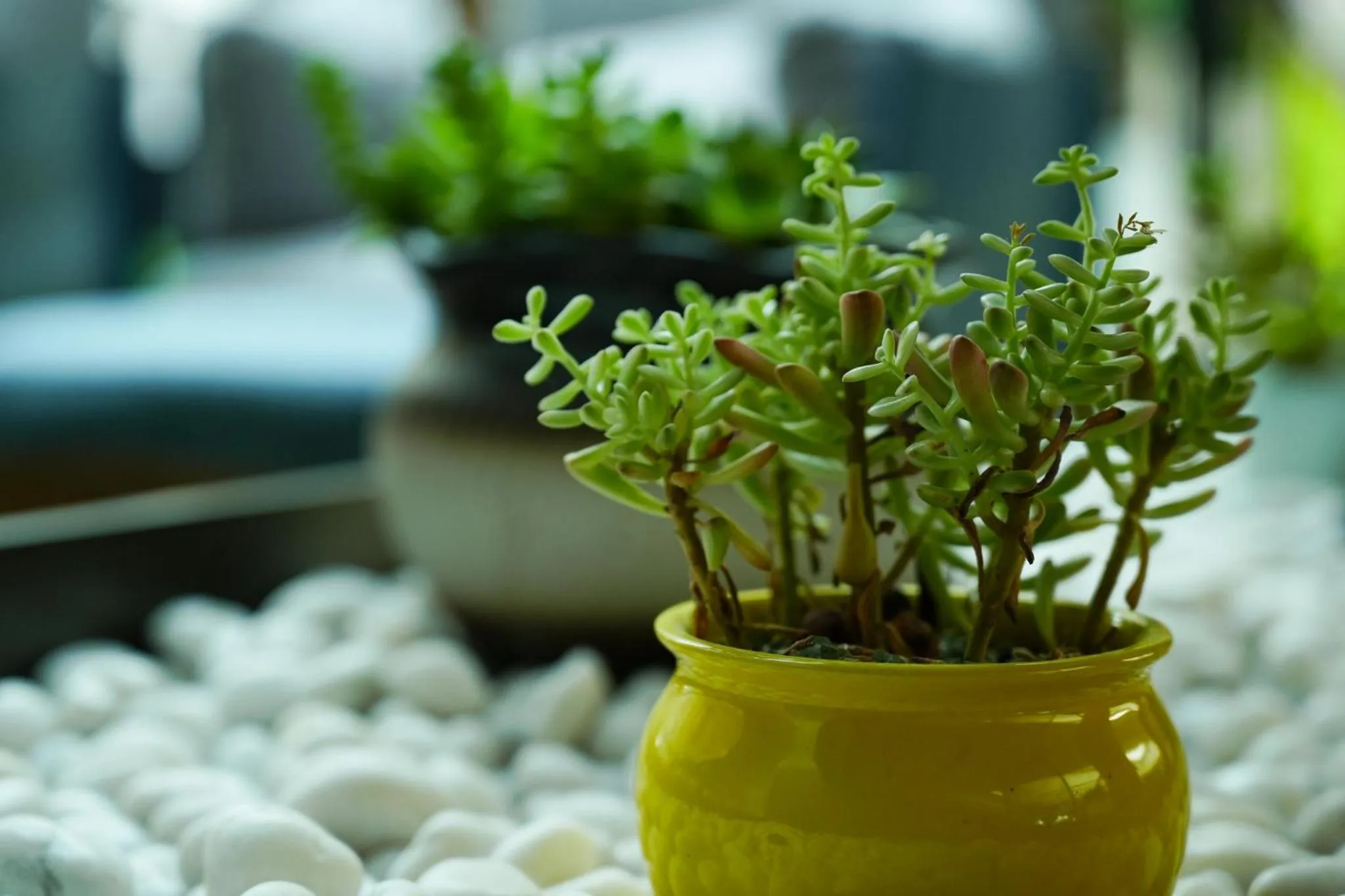 Other in EVEN Hotel Chengdu Jinniu by IHG