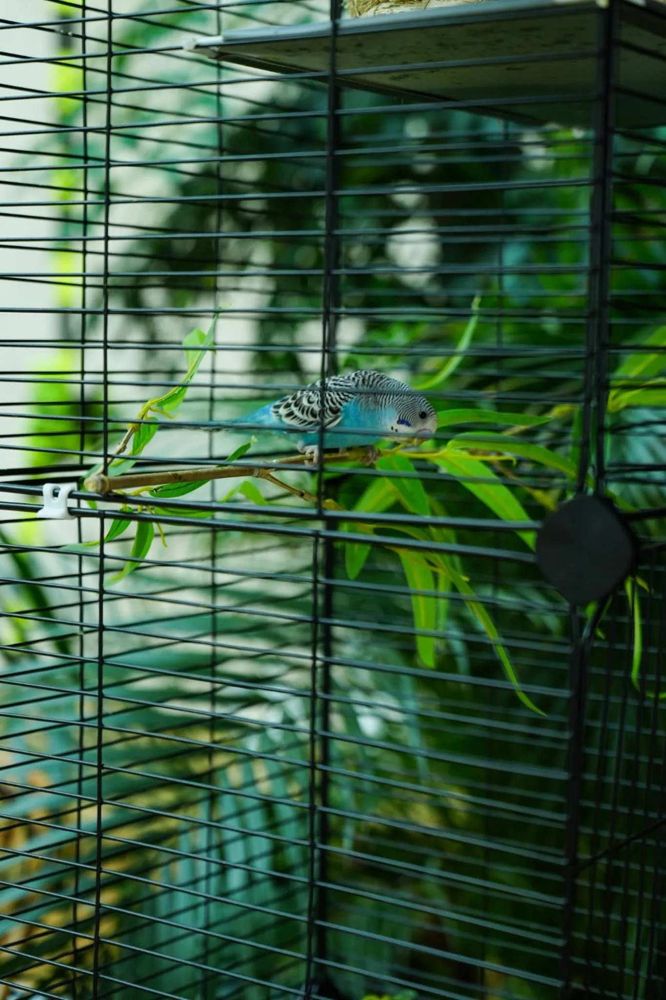 Property building in EVEN Hotel Chengdu Jinniu by IHG