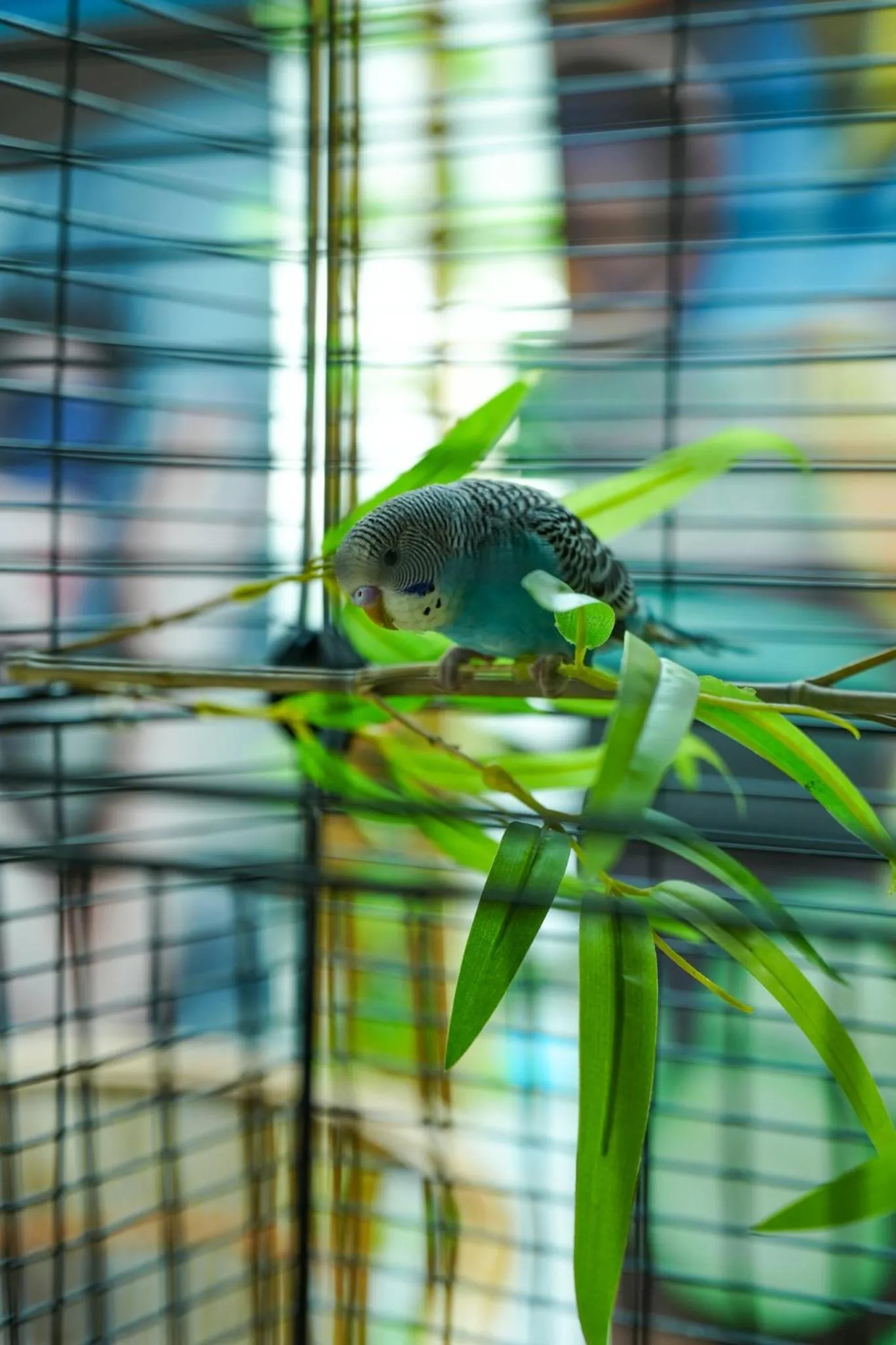 Property building in EVEN Hotel Chengdu Jinniu by IHG