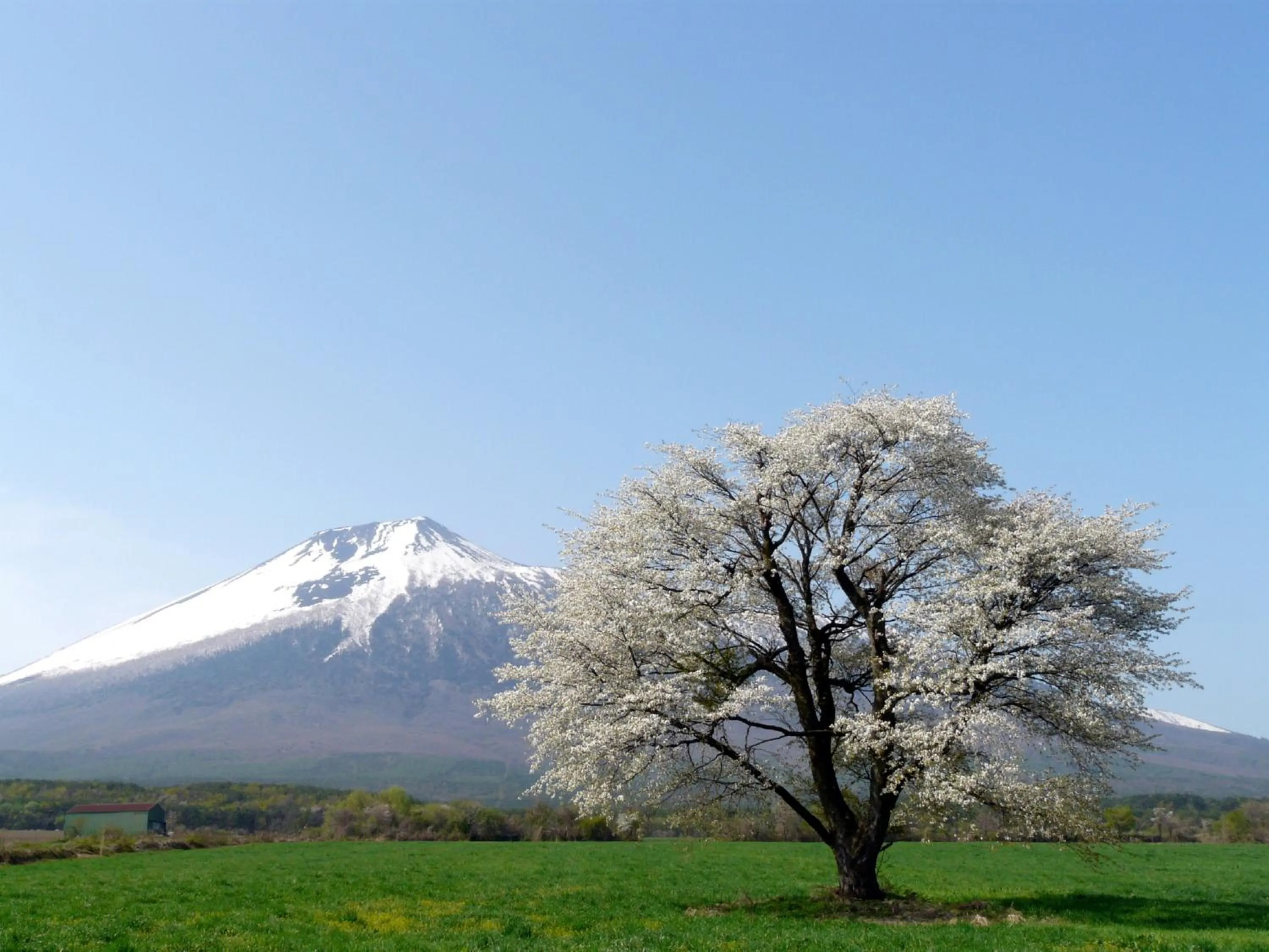 Nearby landmark in ANA InterContinental Appi Kogen Resort by IHG
