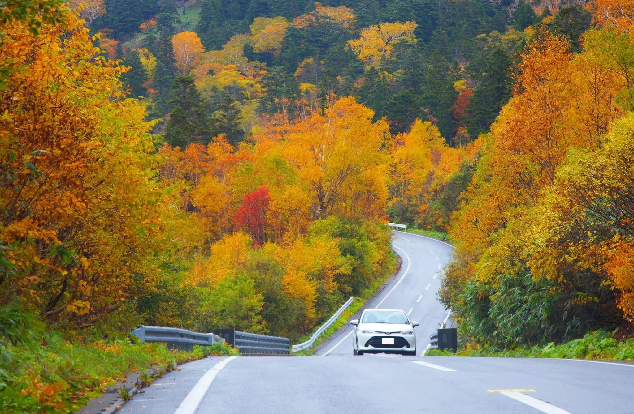 Nearby landmark in ANA InterContinental Appi Kogen Resort by IHG