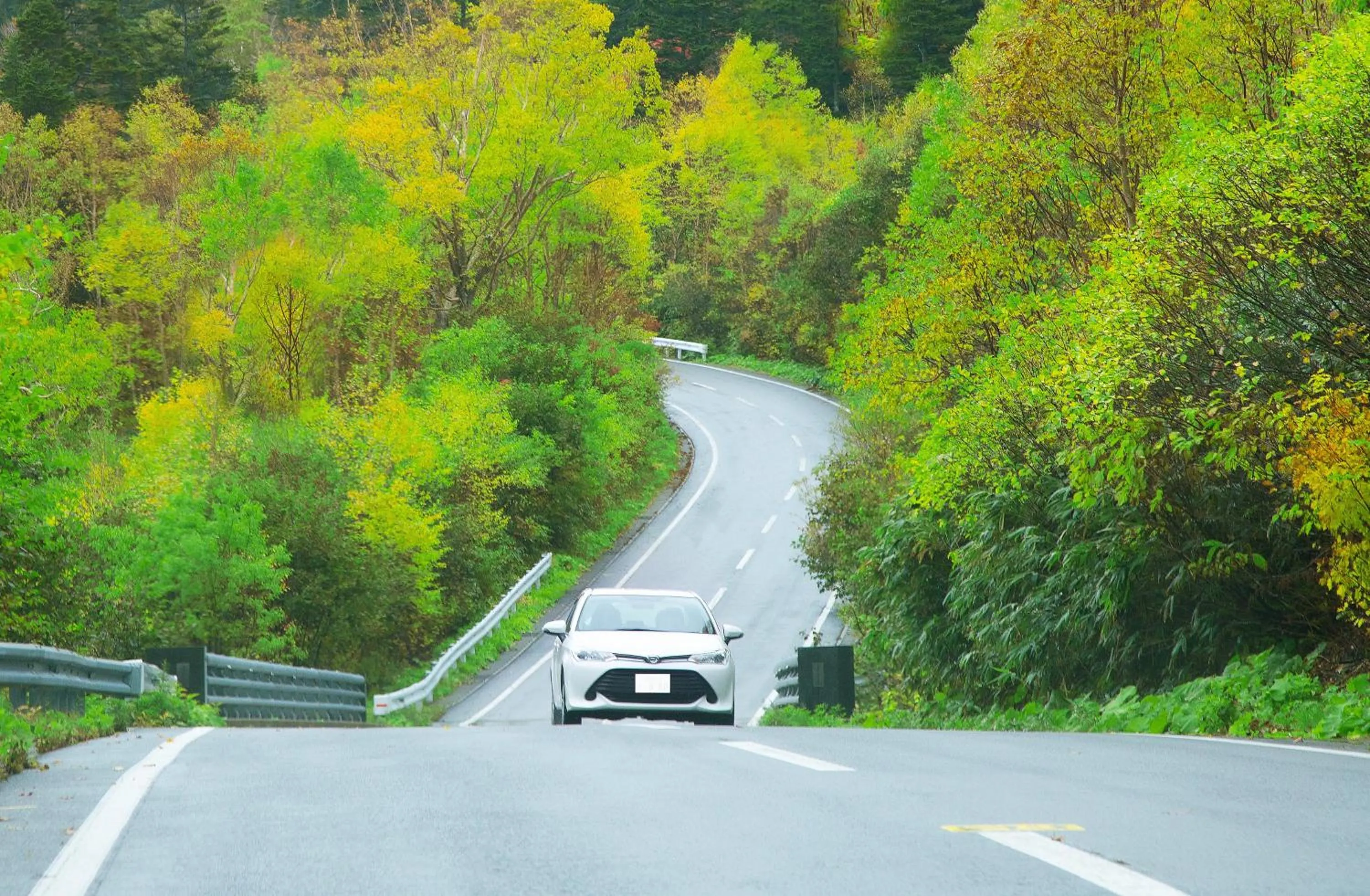 Nearby landmark in ANA InterContinental Appi Kogen Resort by IHG