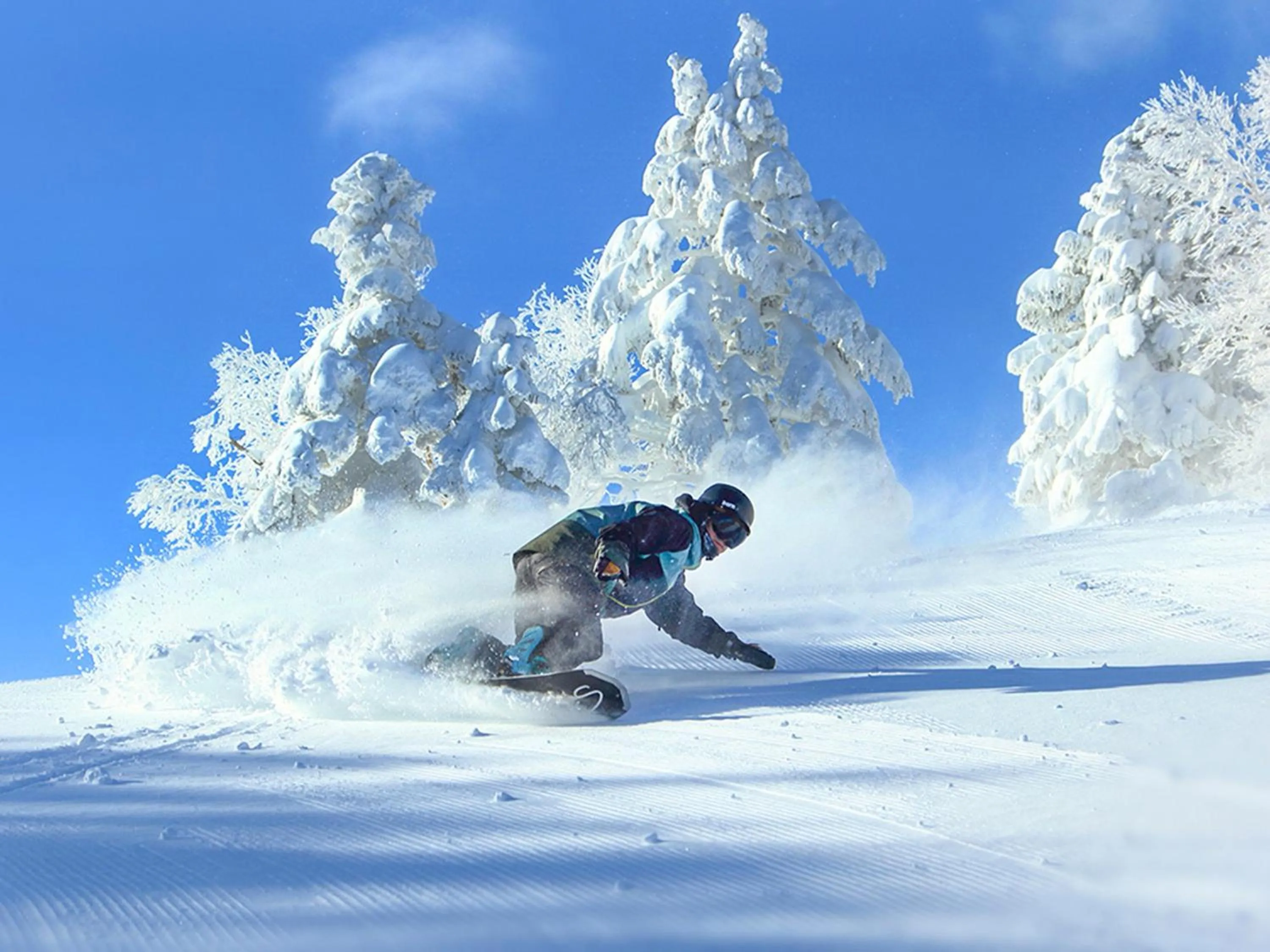 Nearby landmark in ANA InterContinental Appi Kogen Resort by IHG