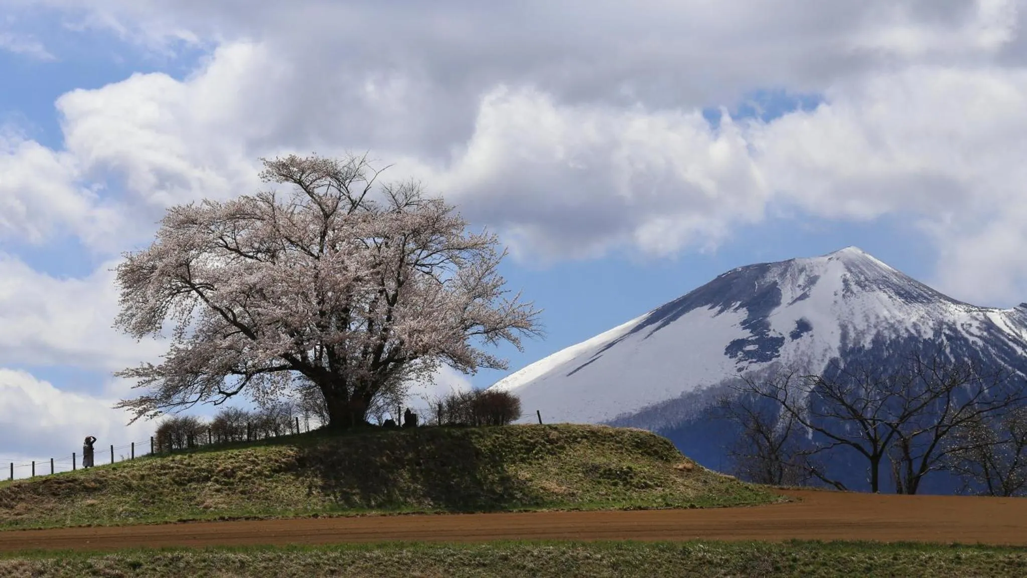 Nearby landmark in ANA InterContinental Appi Kogen Resort by IHG