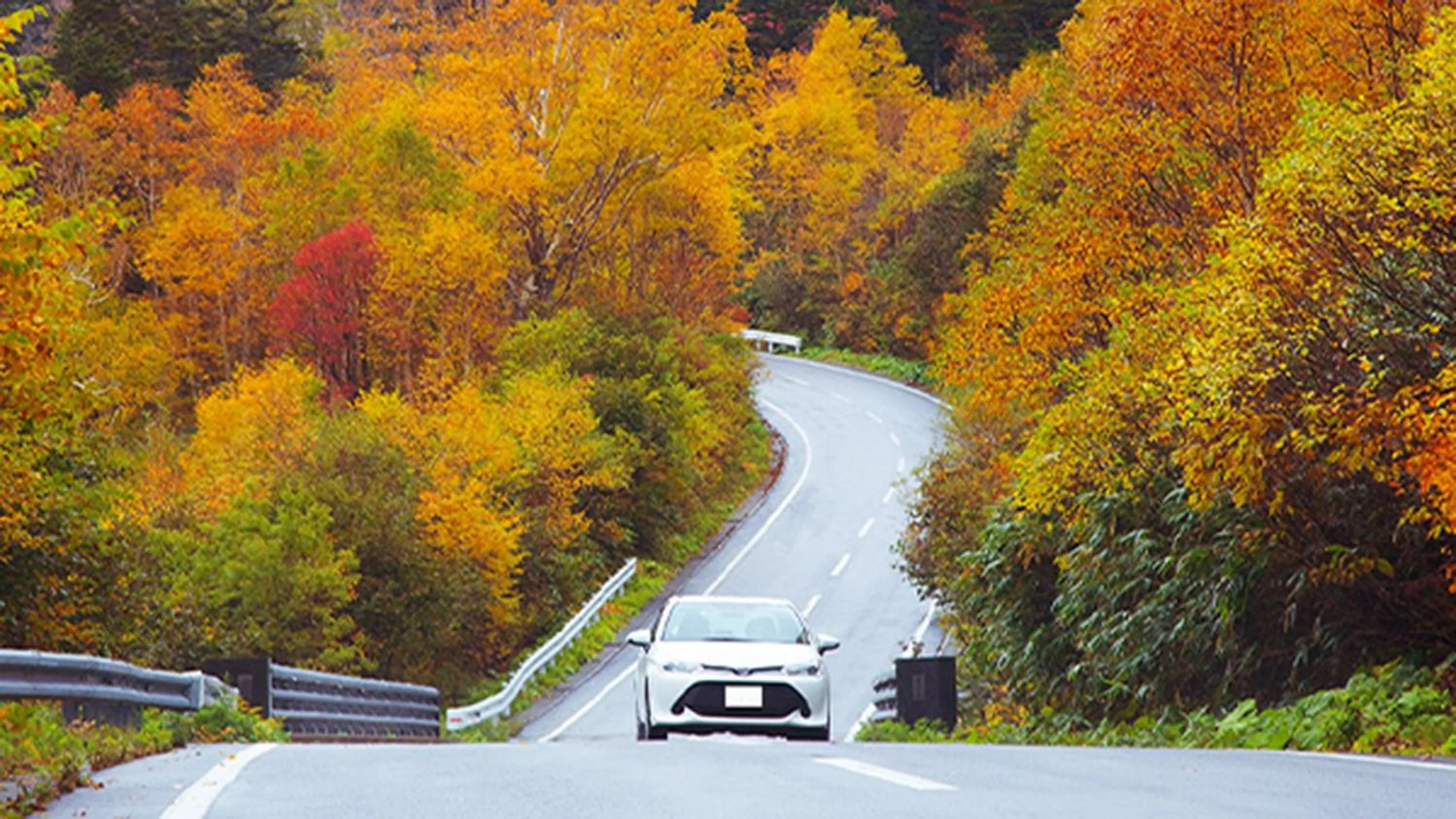 Nearby landmark in ANA InterContinental Appi Kogen Resort by IHG