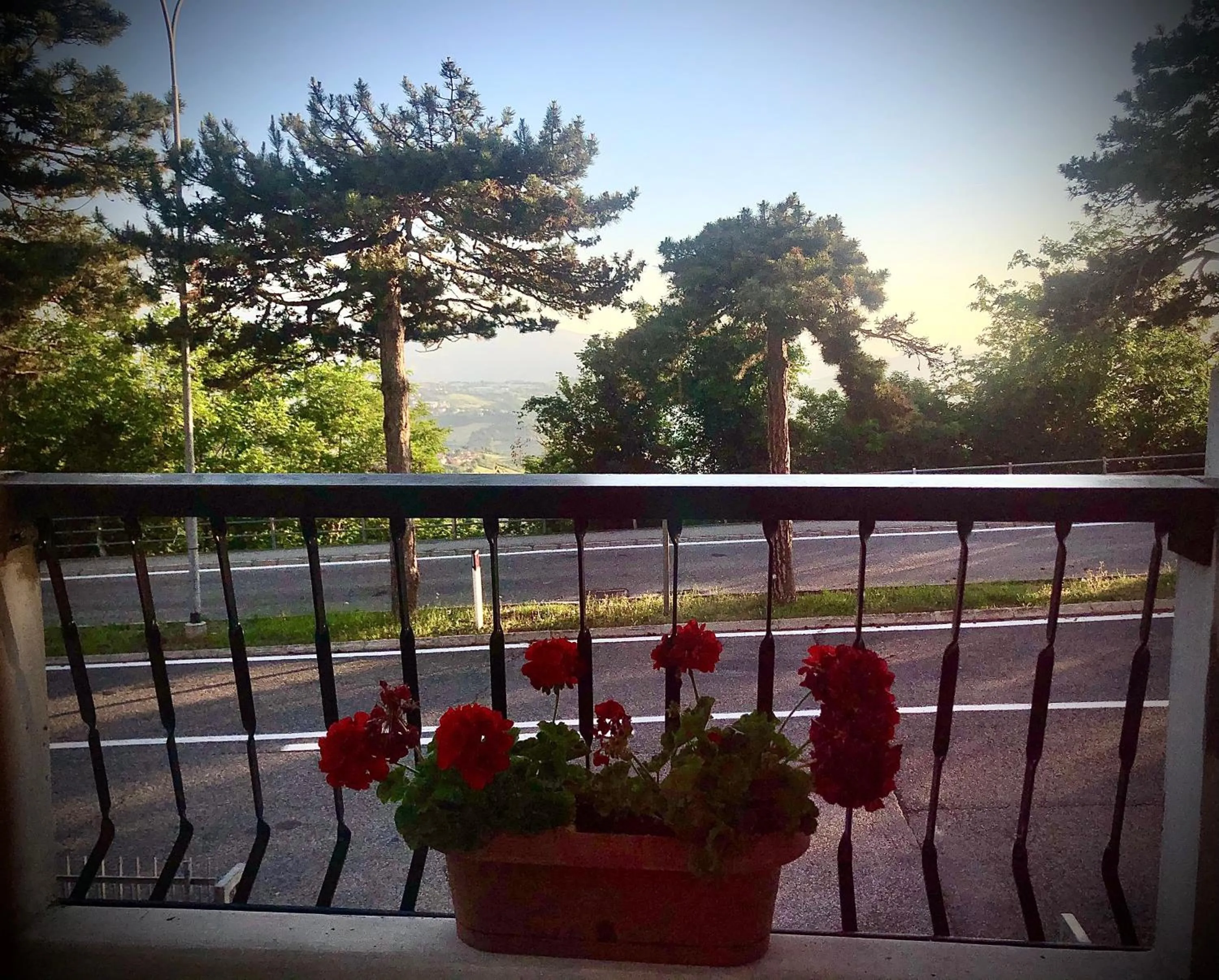 View (from property/room) in B&B Curva della Palma