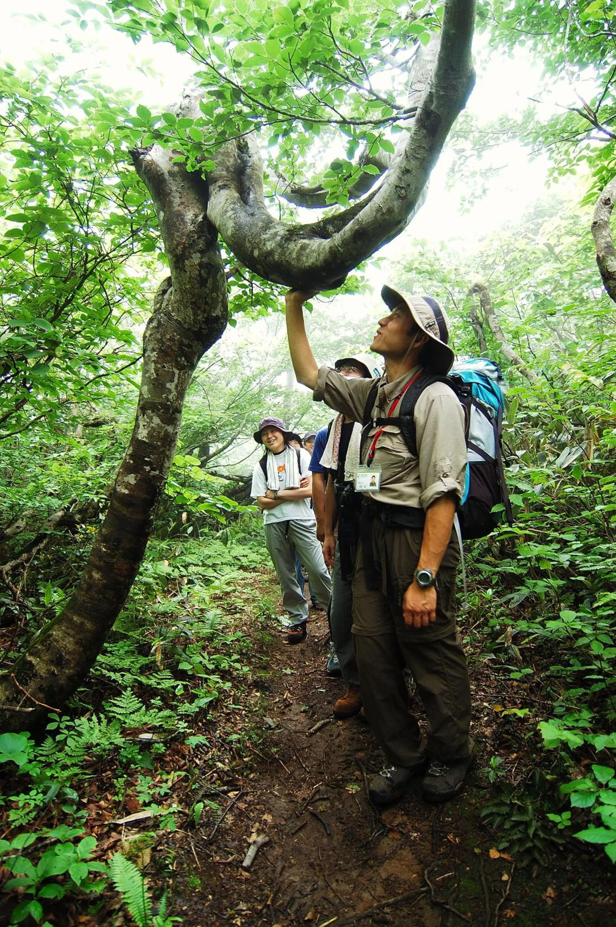 Seasons in Guest house Maroudo