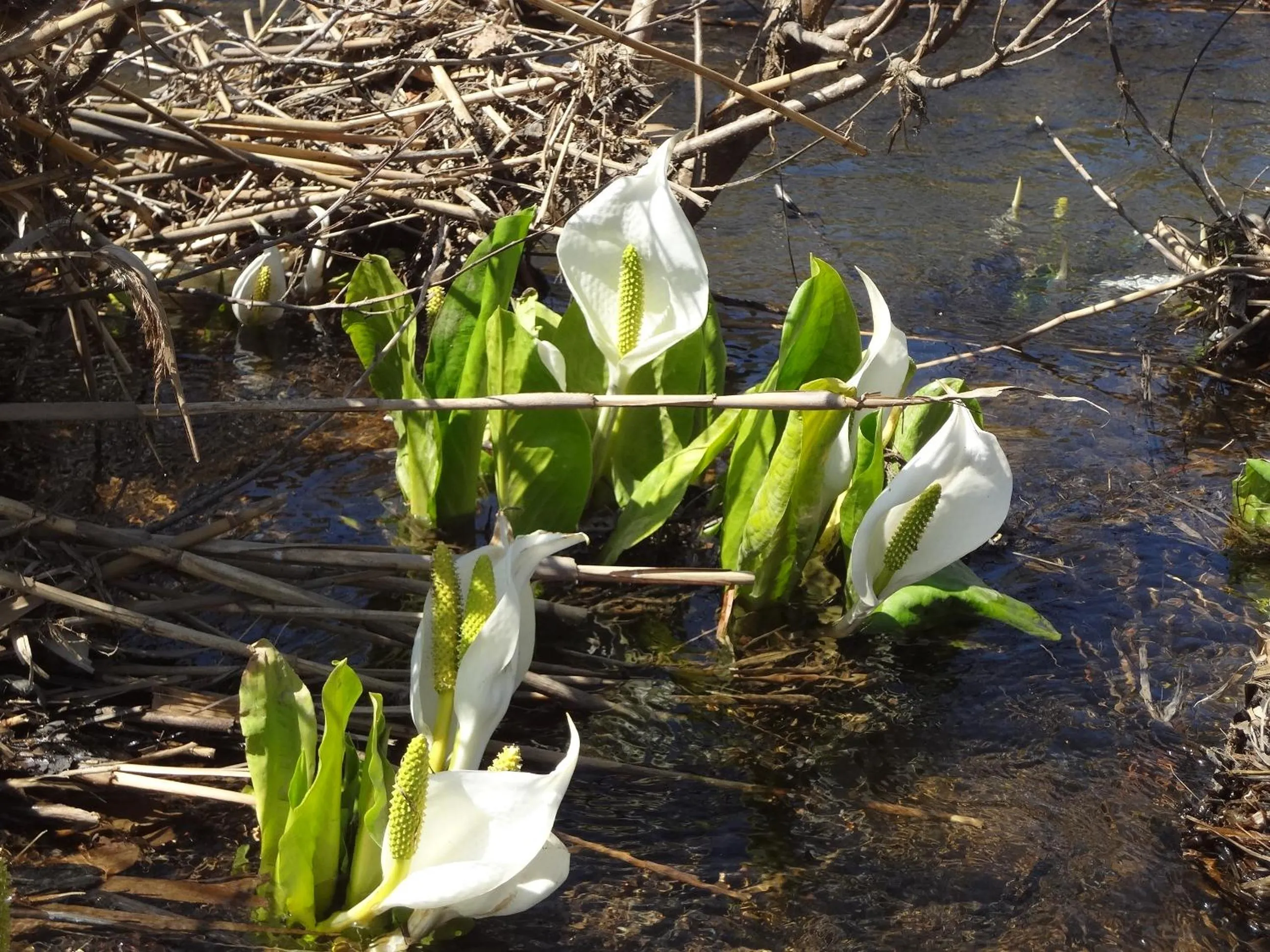 Other in Guest house Maroudo