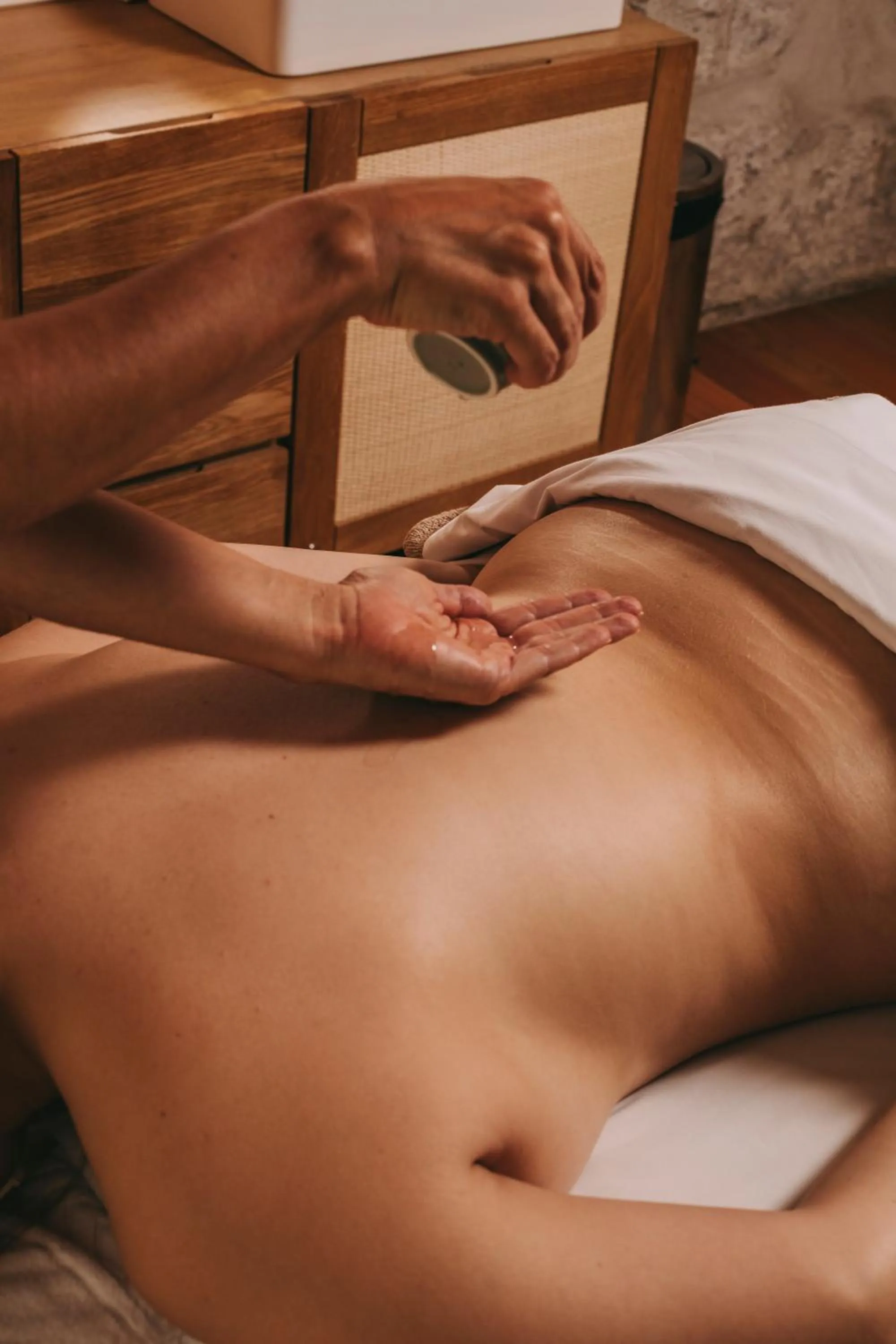 Spa and wellness centre/facilities in Torel Saboaria