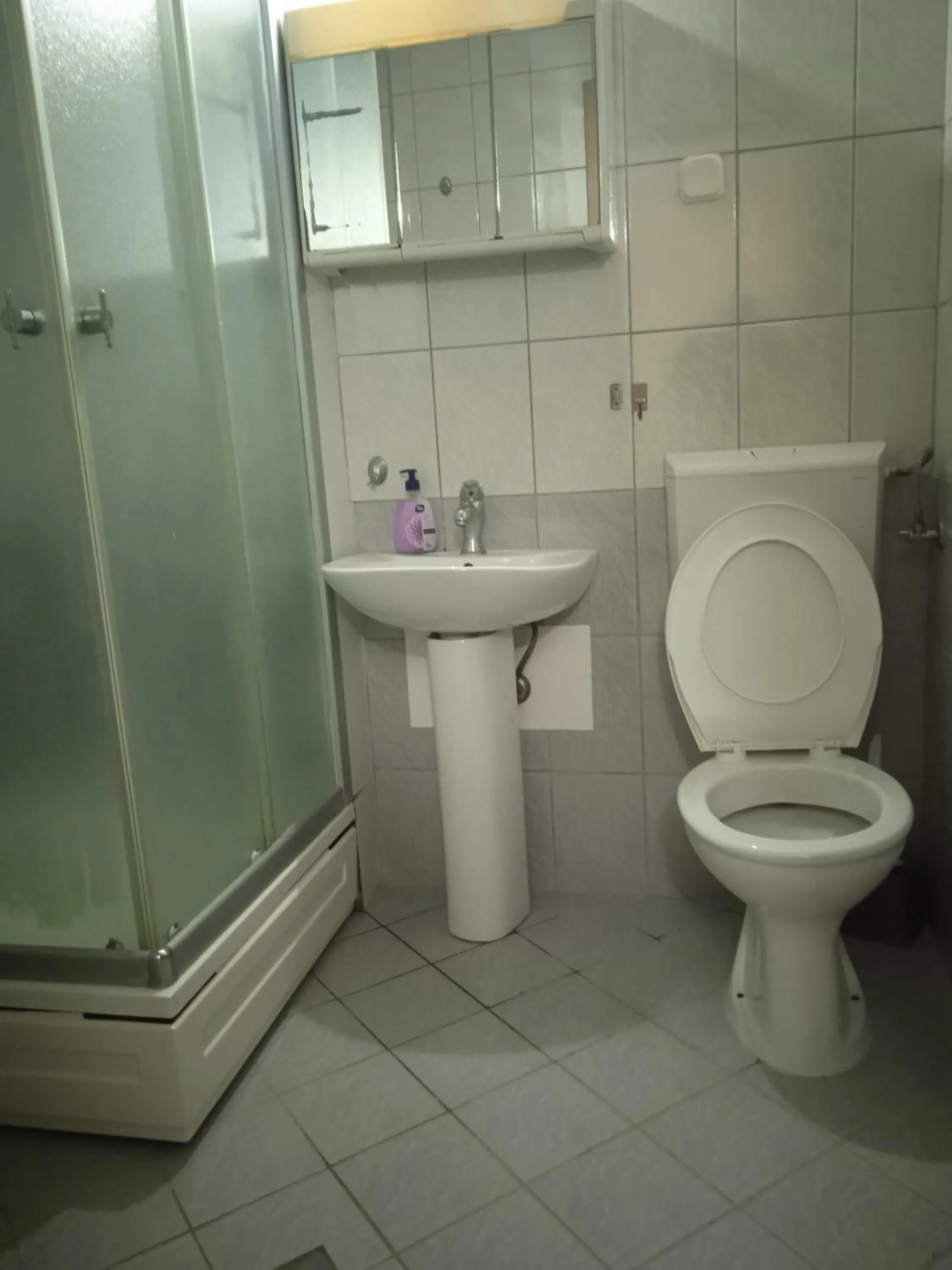 Nikolic Apartments - Ohrid City Centre