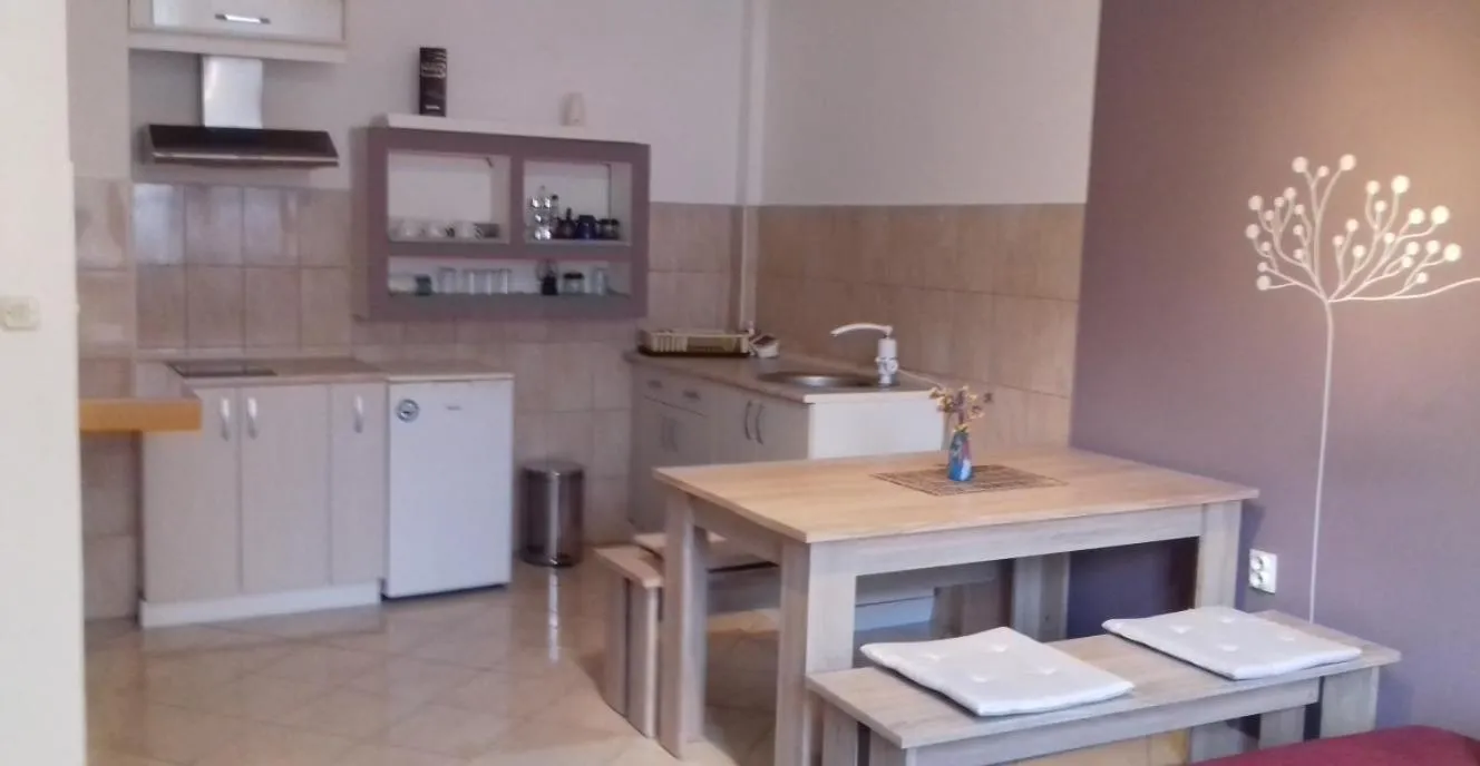 Nikolic Apartments - Ohrid City Centre