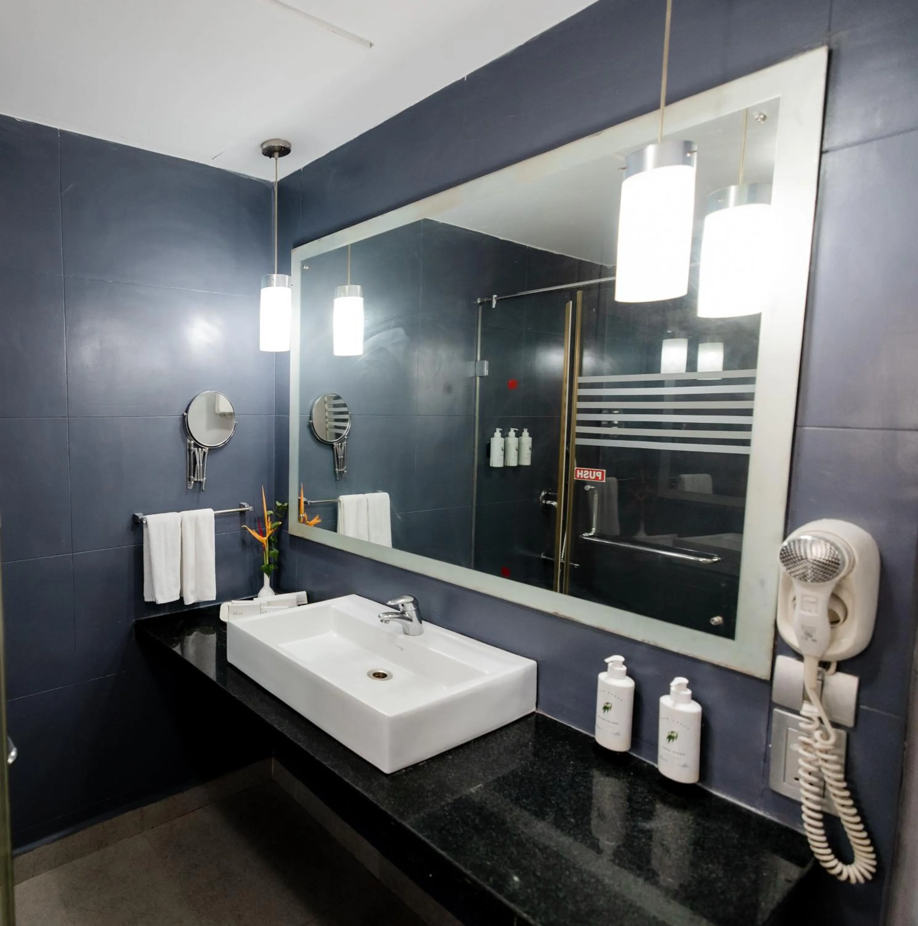 Bathroom in Regenta Baywatch Resort, Goa