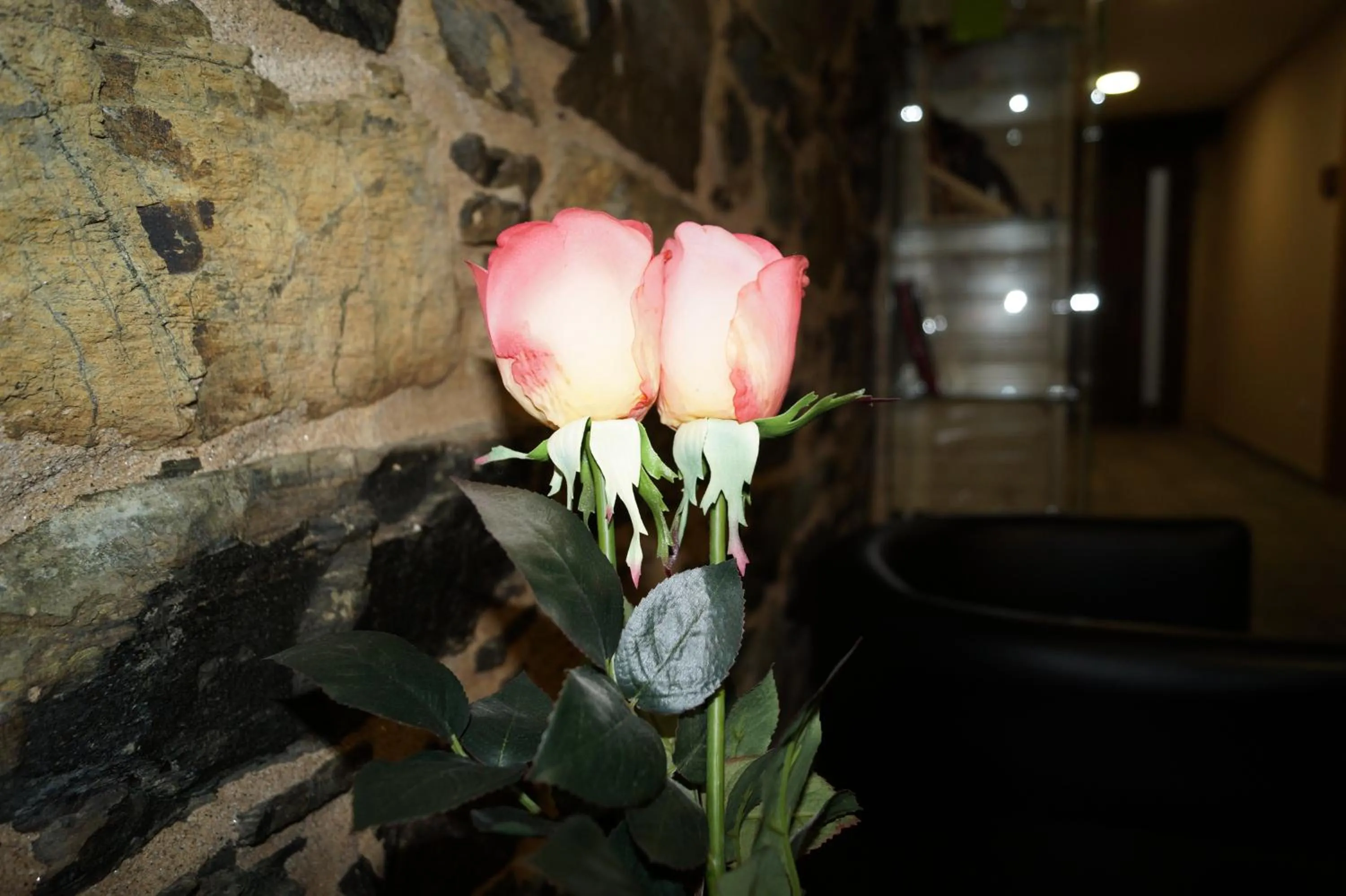Lobby or reception in Albergue San Anton