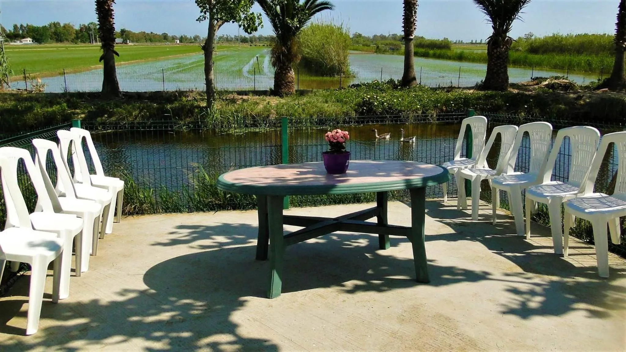 Patio in Paradise Ebro 2
