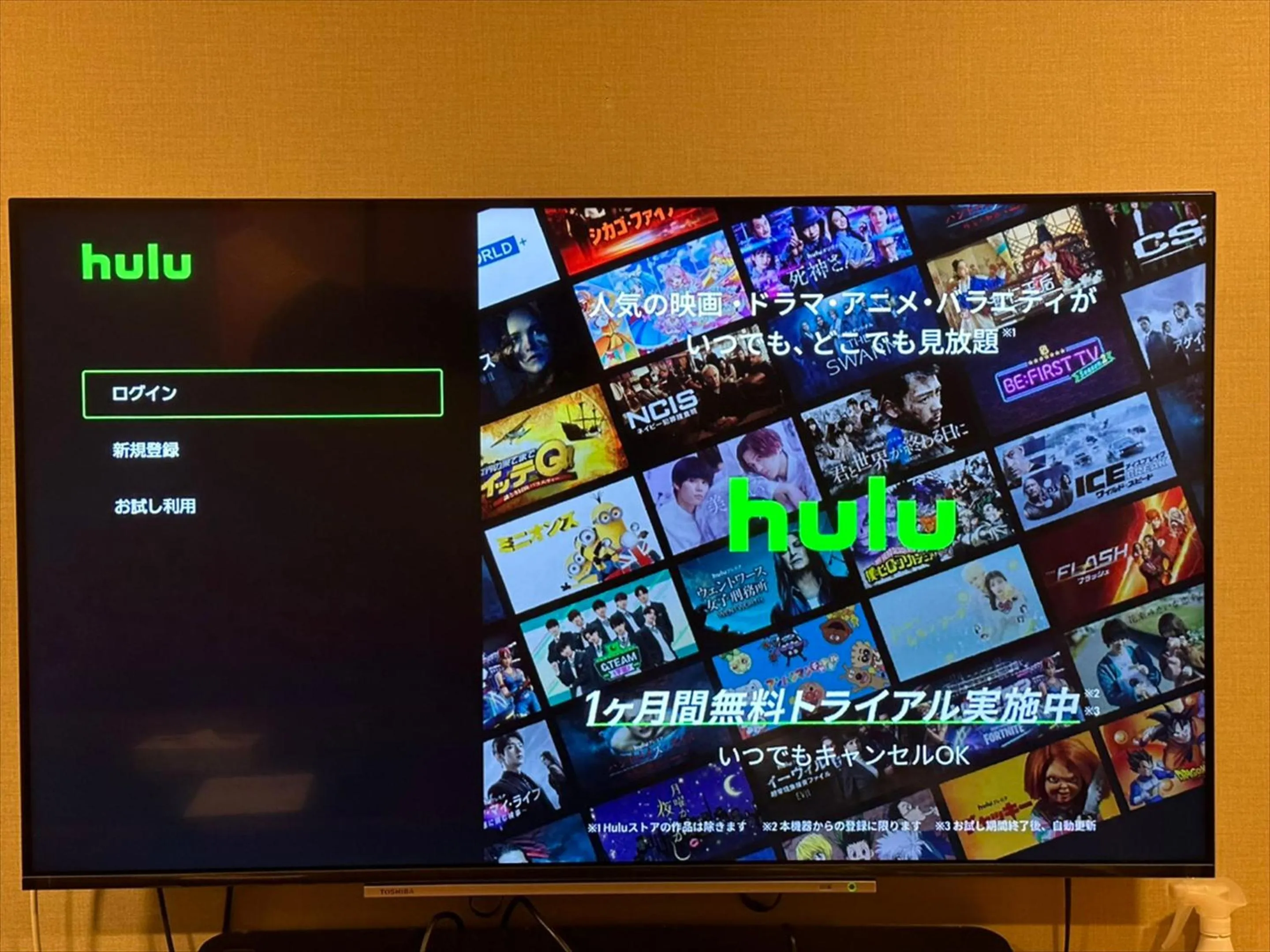 TV and multimedia in YADOYA Yumeji