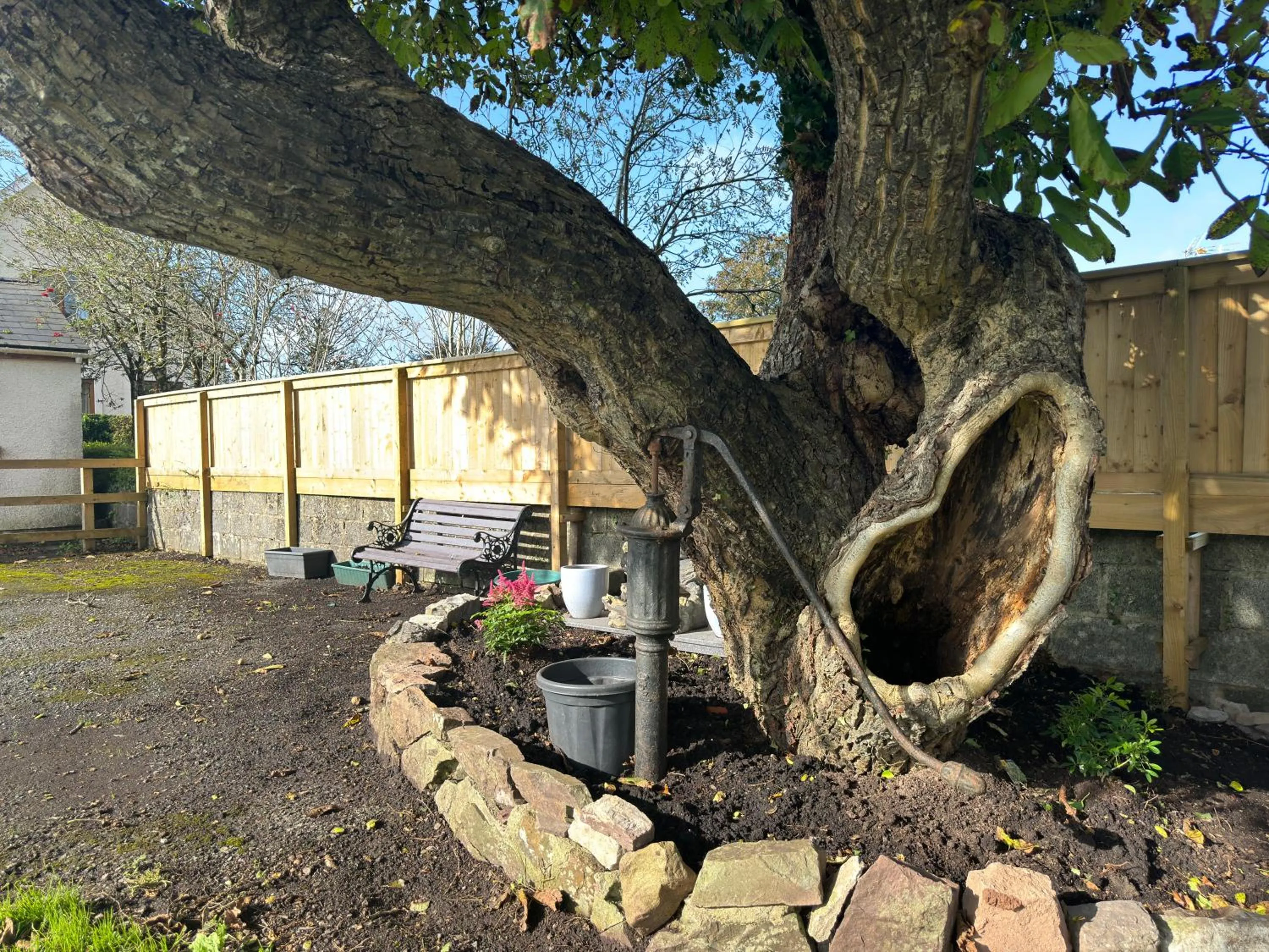 Garden in The Carpenters Arms Rooms in Broadway, Laugharne