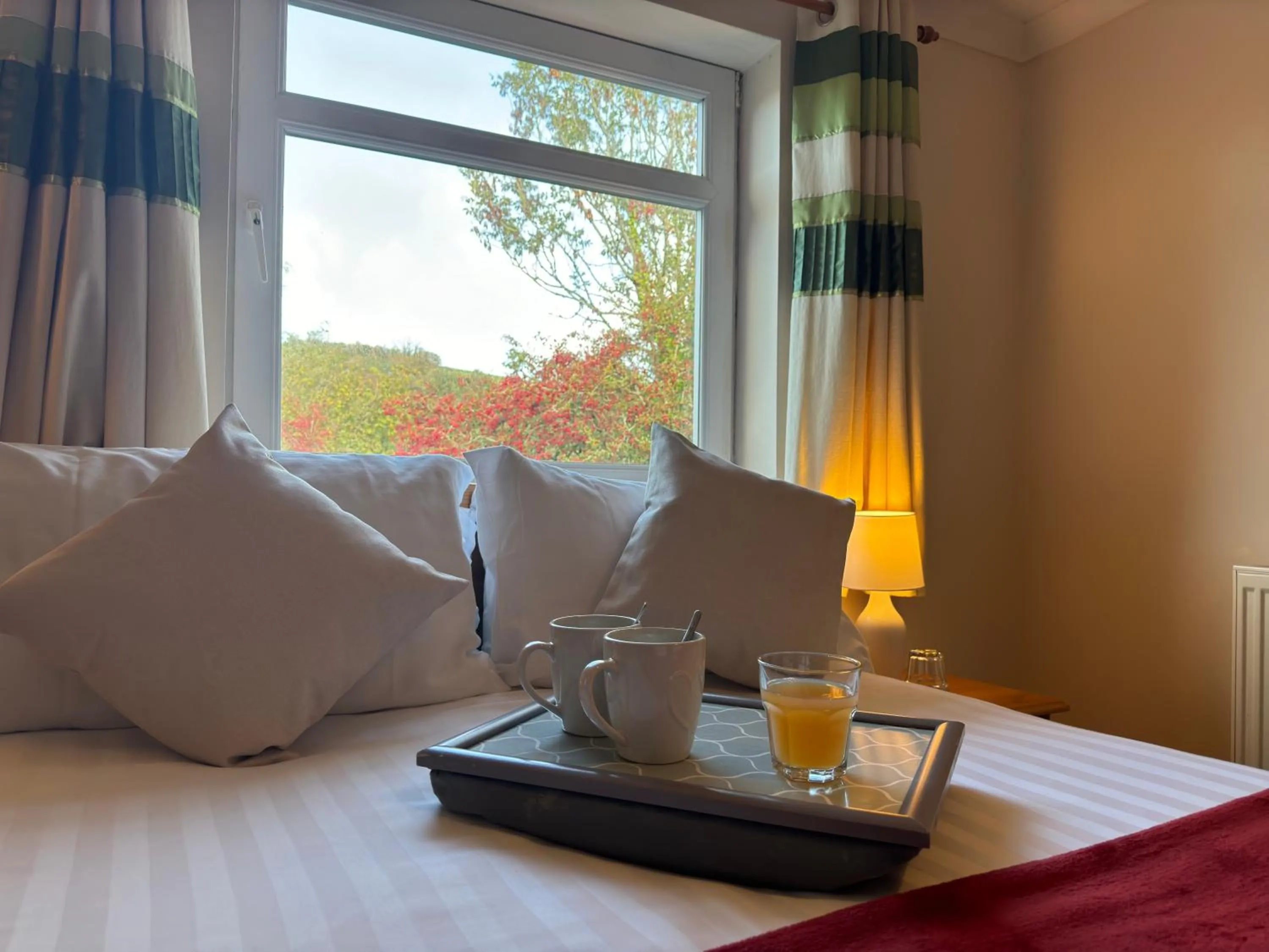 Bedroom in The Carpenters Arms Rooms in Broadway, Laugharne