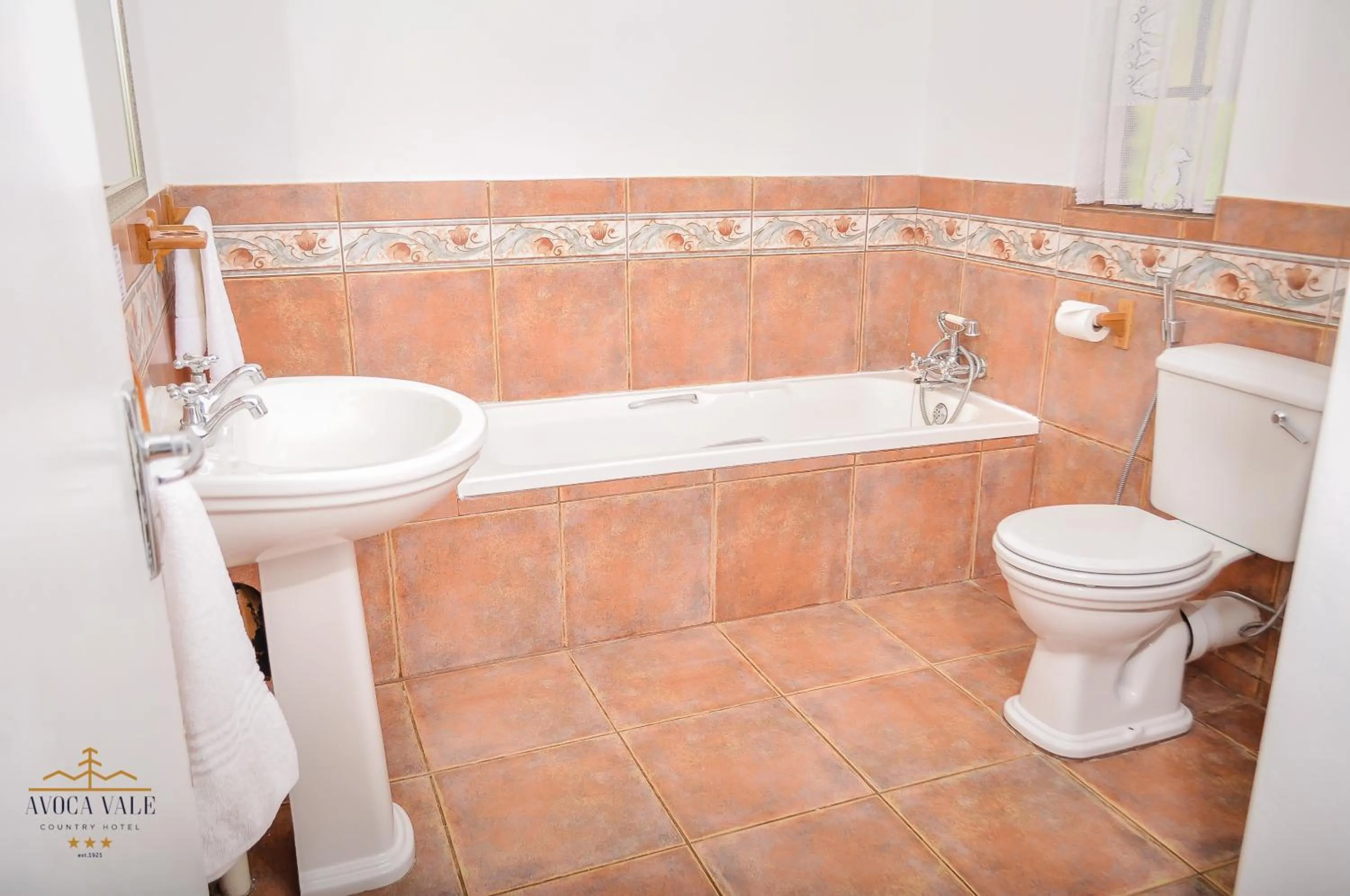 Toilet in Avoca Vale Country Hotel