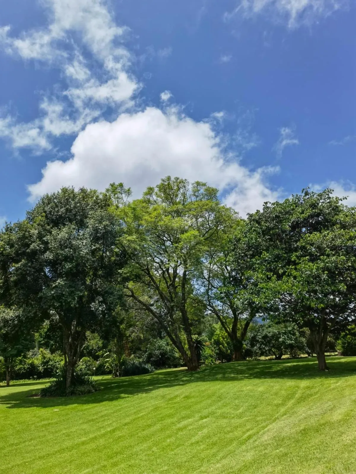 Garden in Avoca Vale Country Hotel