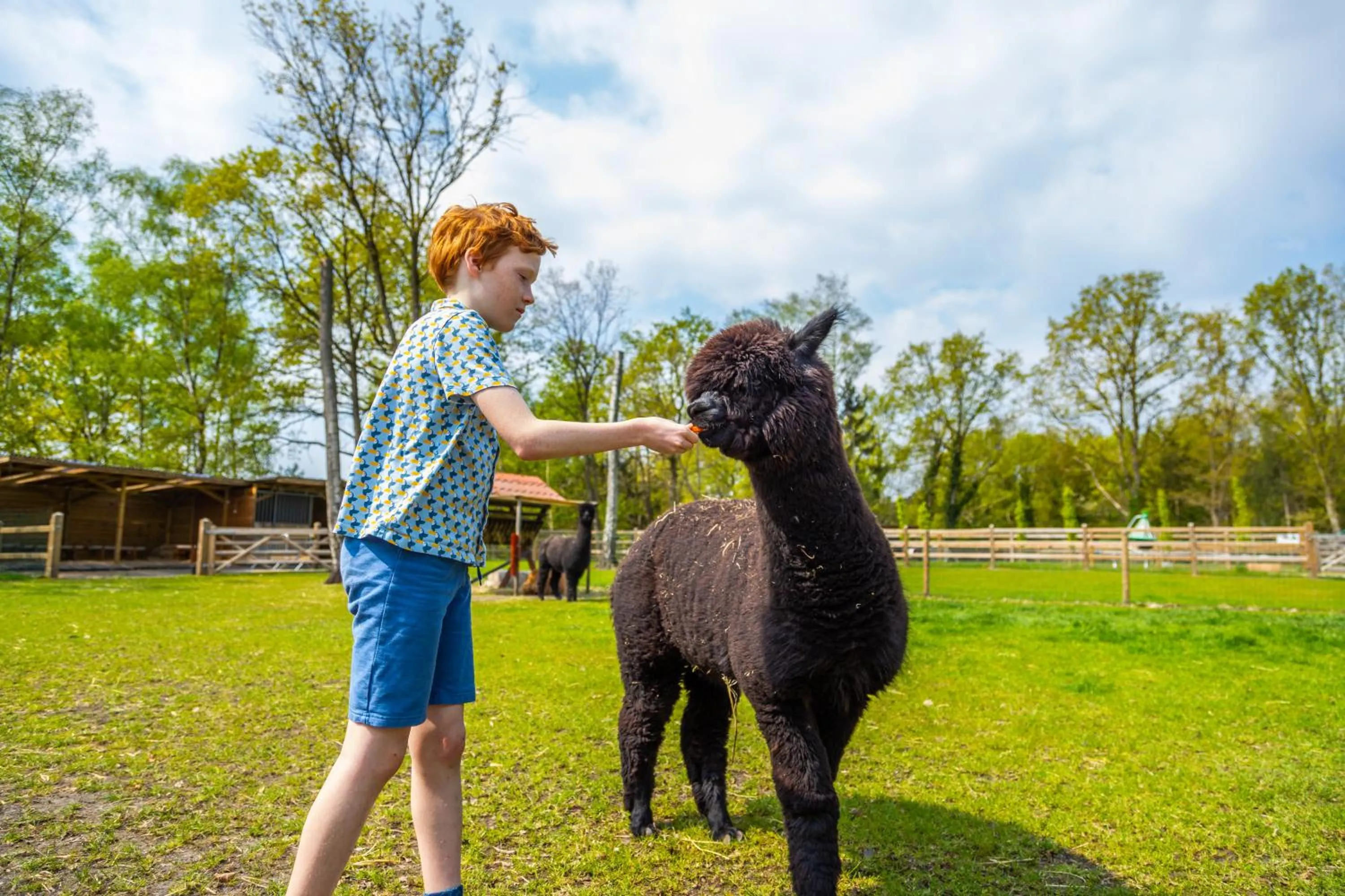 People in EuroParcs Hoge Kempen