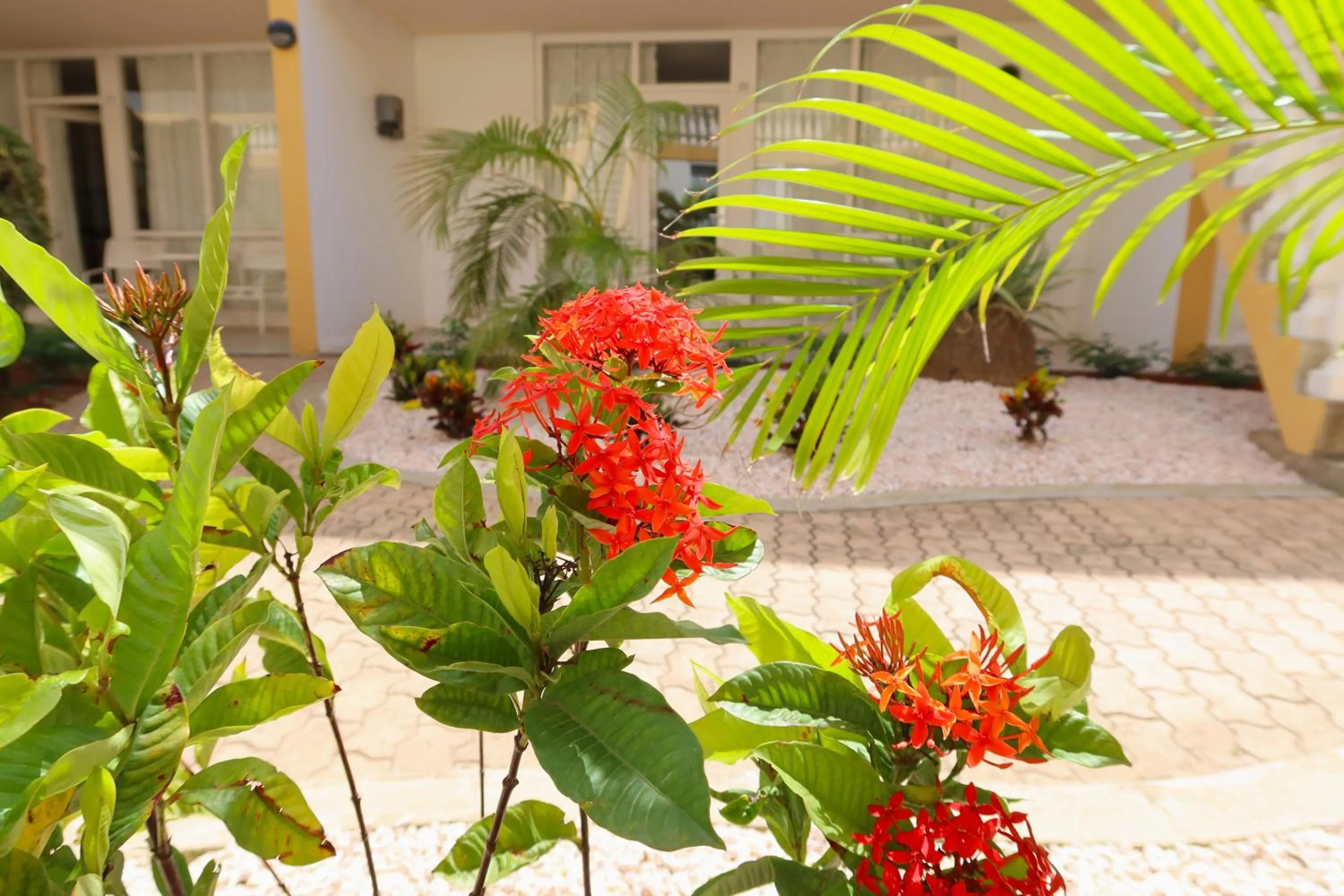 Montana Eco Resort Aruba