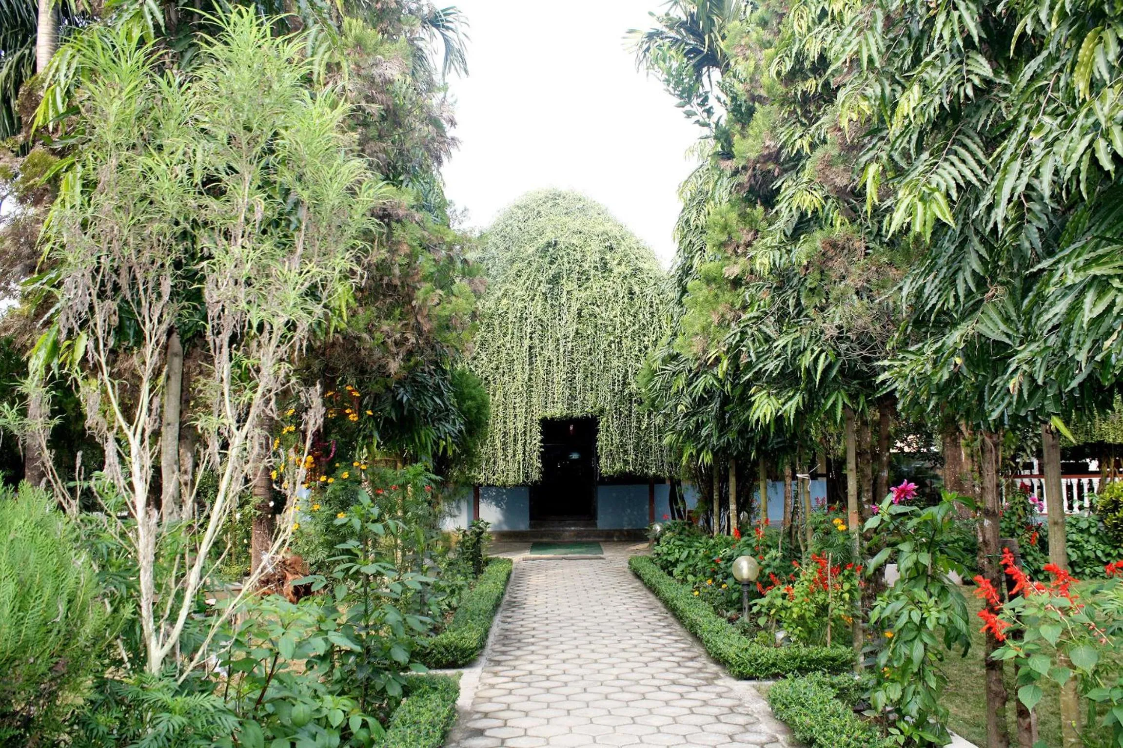 Restaurant/places to eat in Jungle Safari Resort