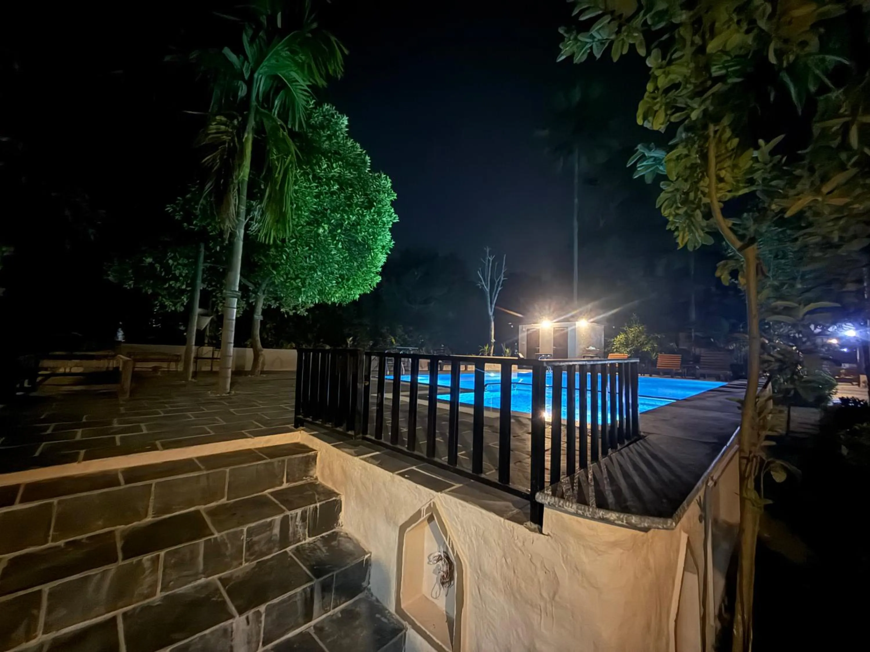 Night in Jungle Safari Resort