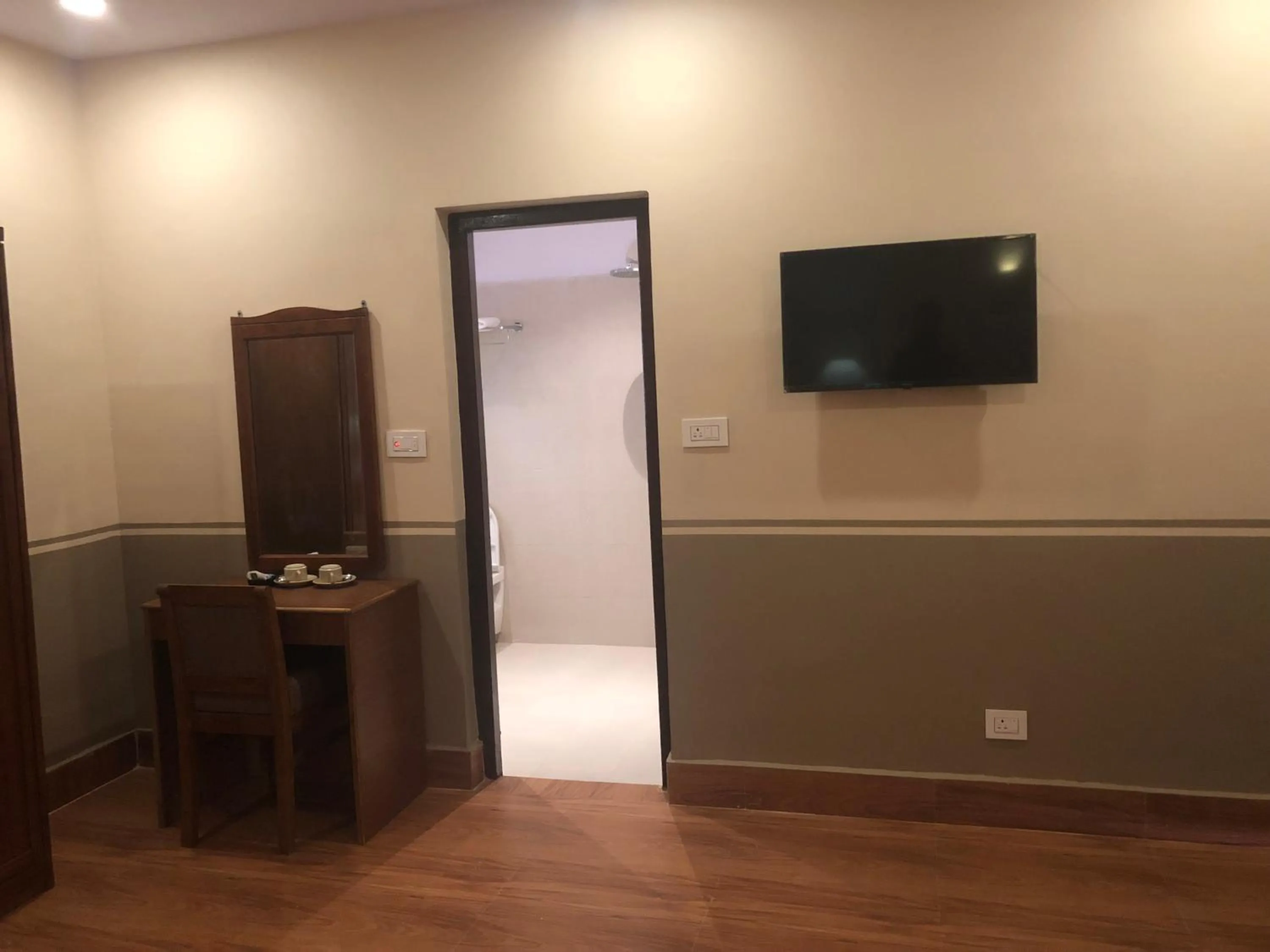 TV and multimedia in Jungle Safari Resort