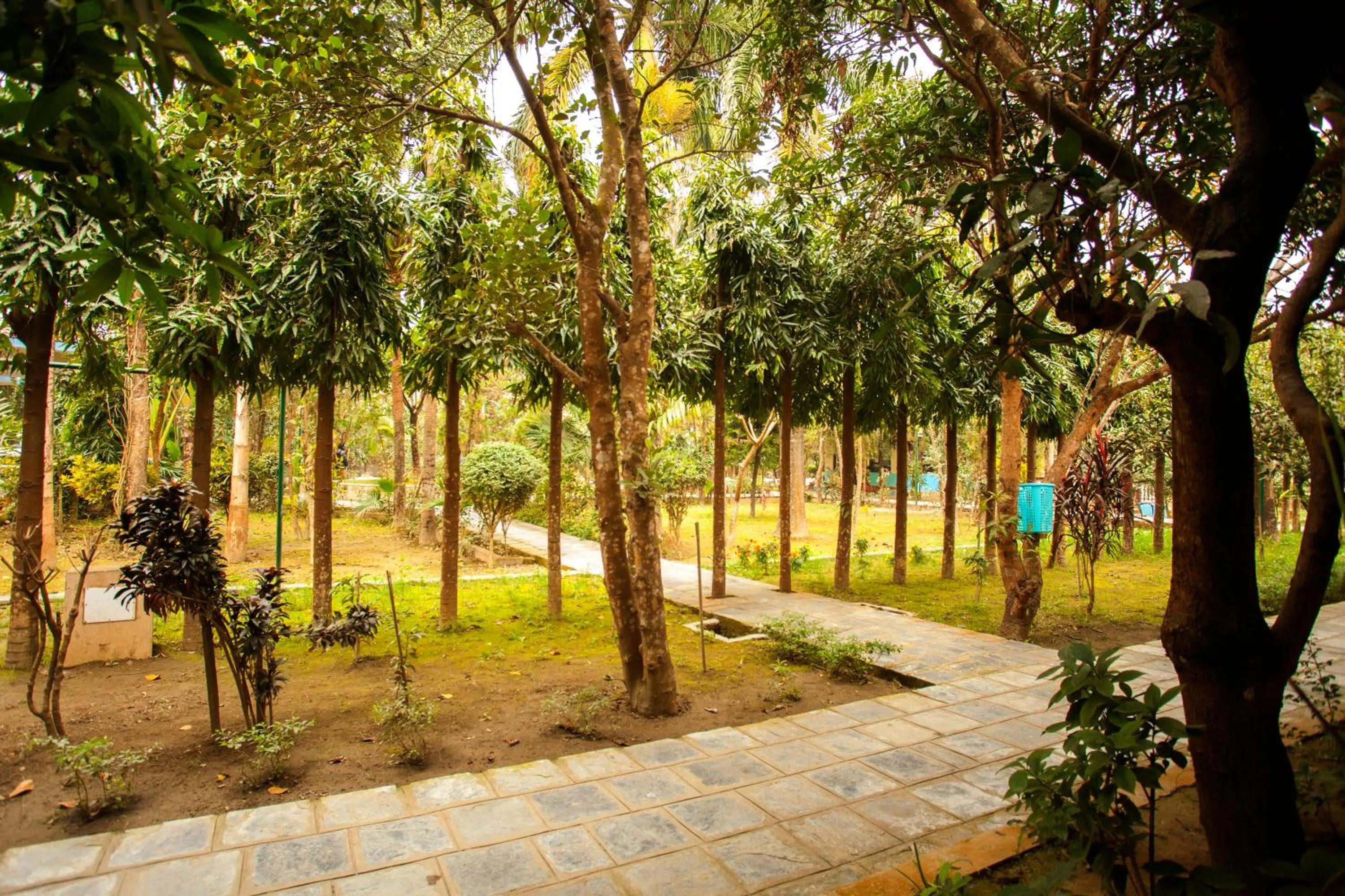 View (from property/room) in Jungle Safari Resort