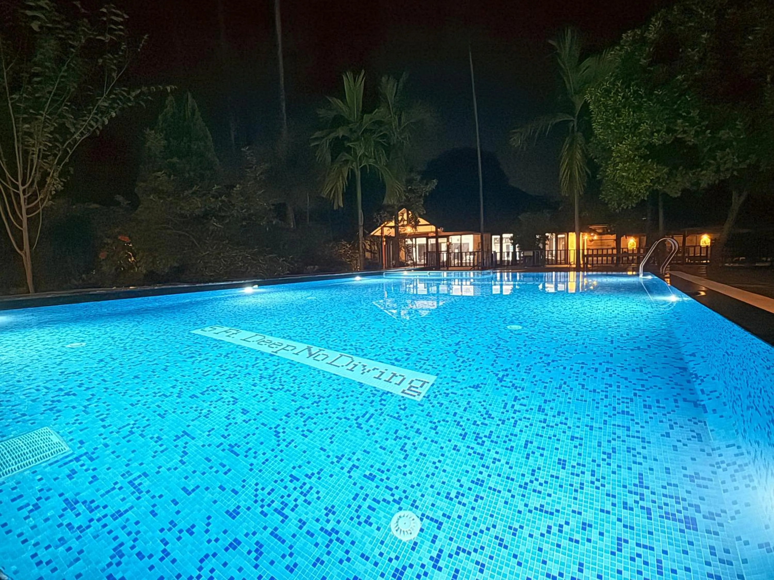 Night in Jungle Safari Resort