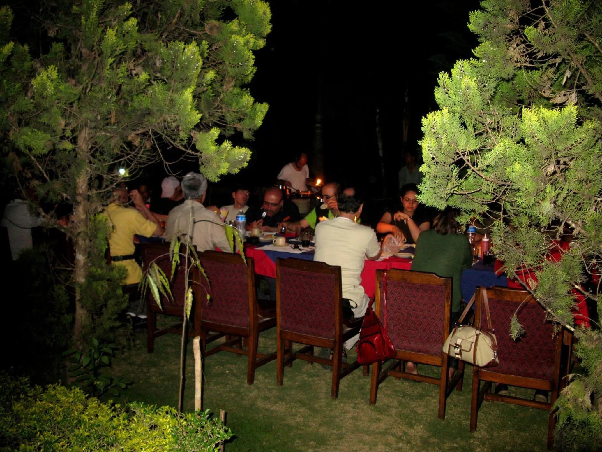 Dinner in Jungle Safari Resort