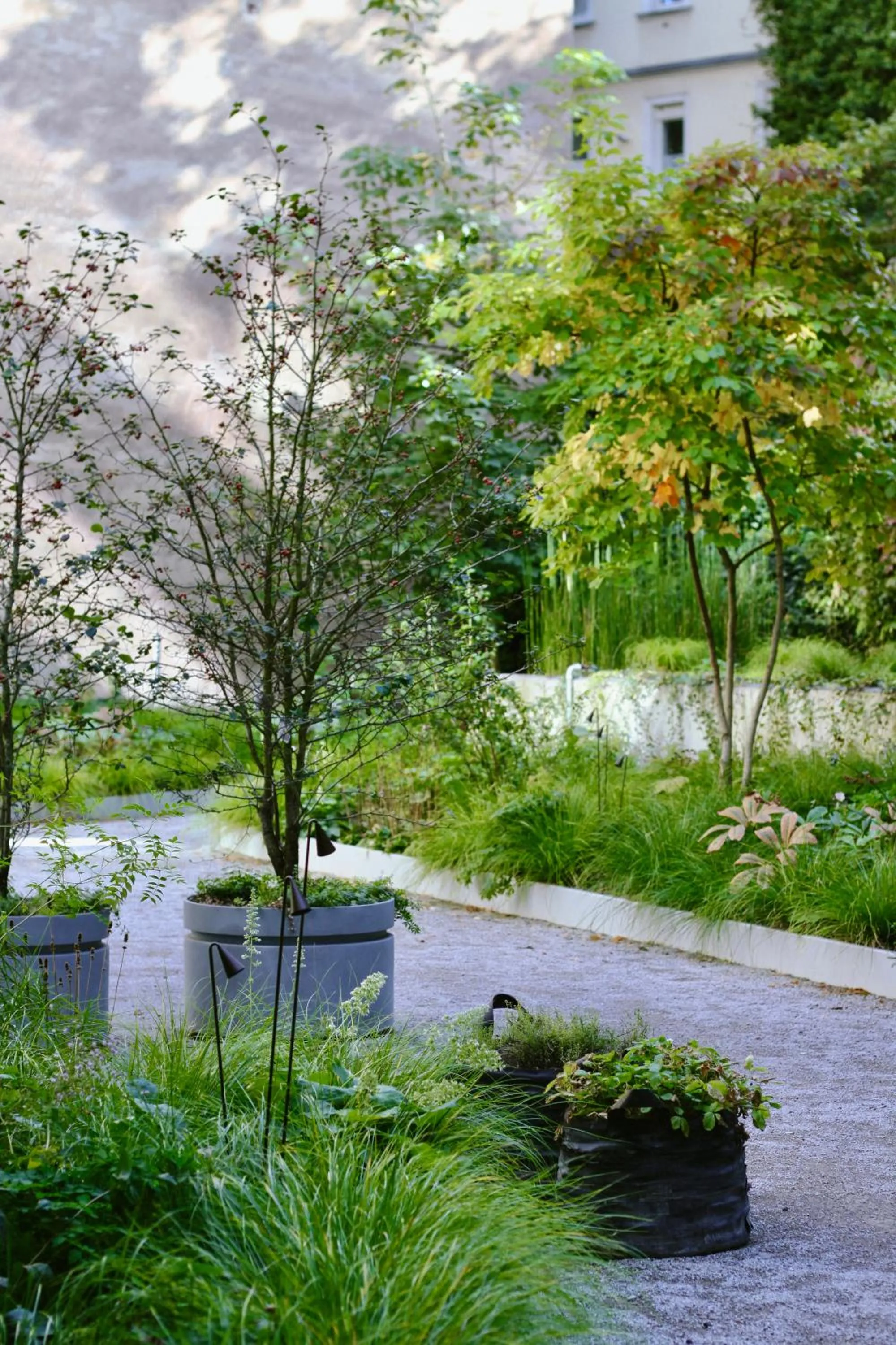 Garden view in Wilmina Hotel