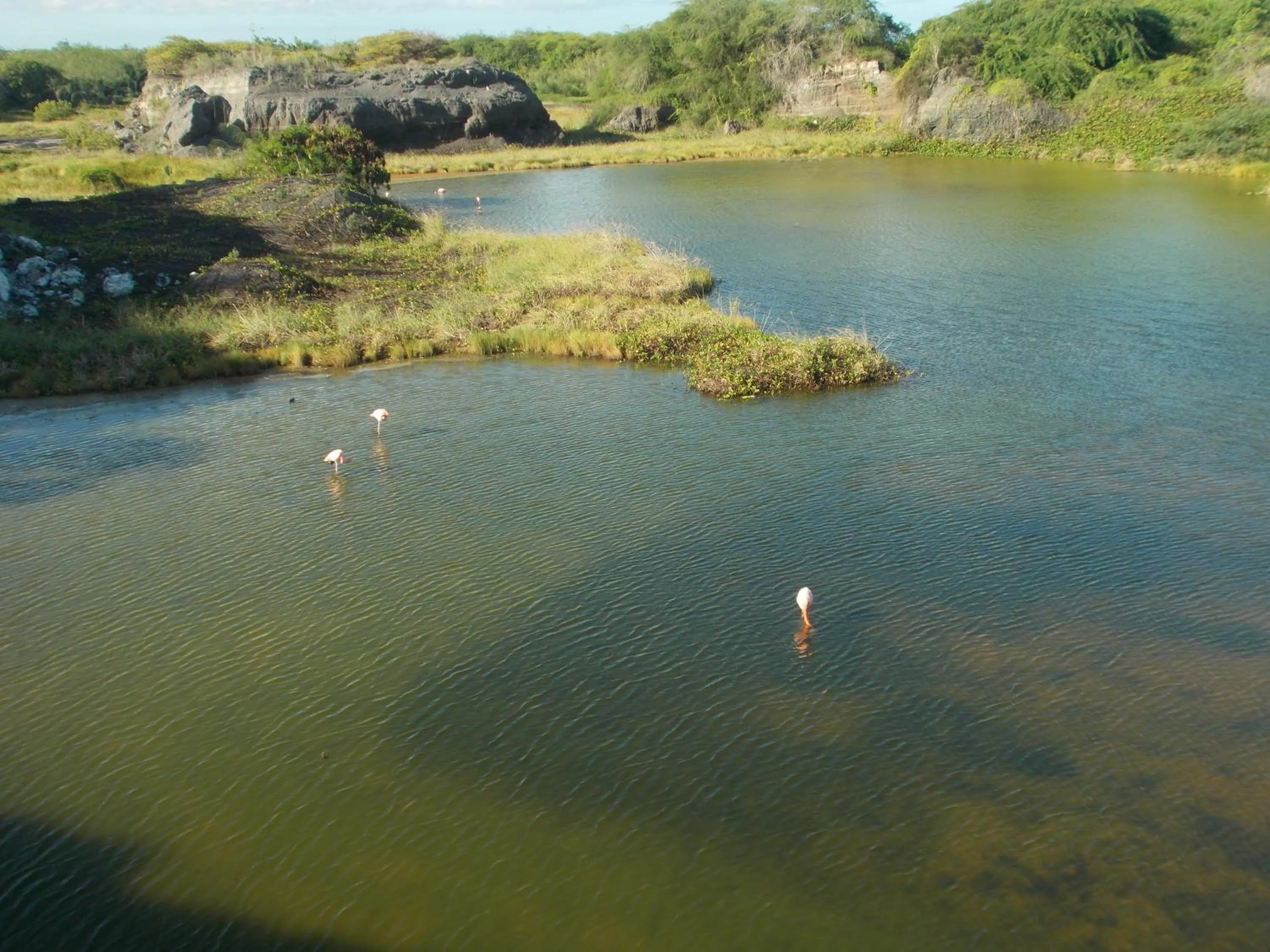 Cycling in Paraiso de Isabela