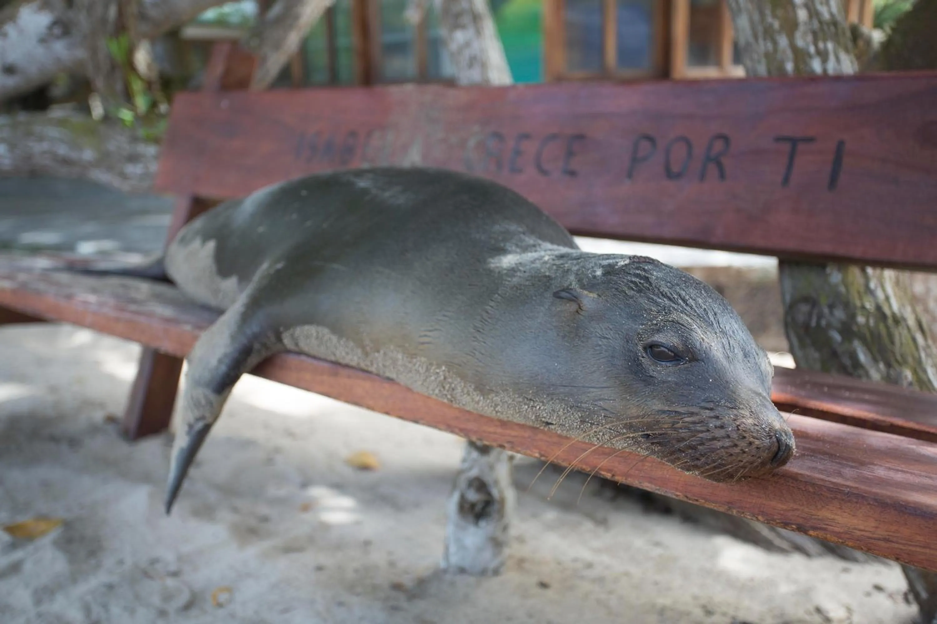Nearby landmark in Paraiso de Isabela